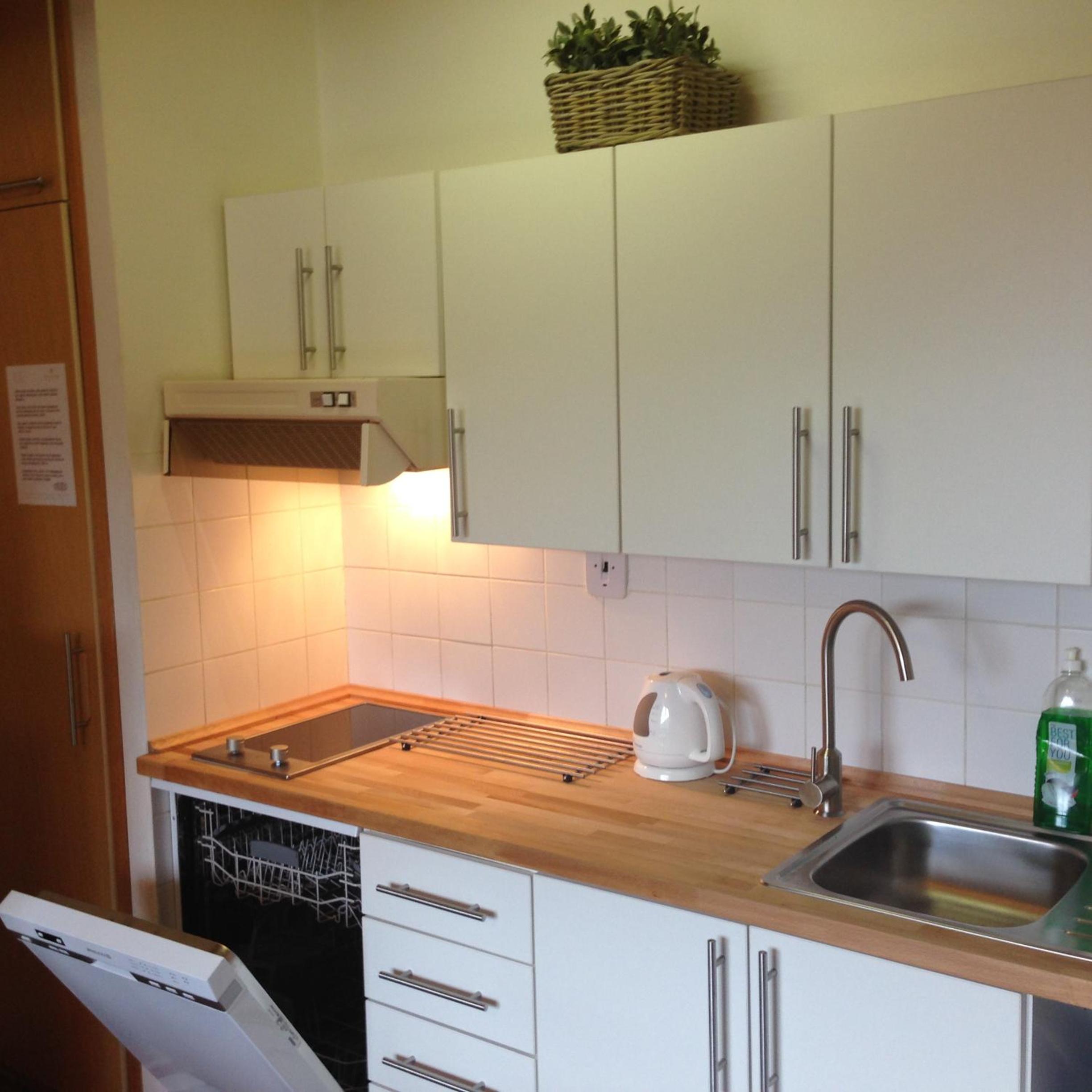 Apartment with Mountain View photo 2