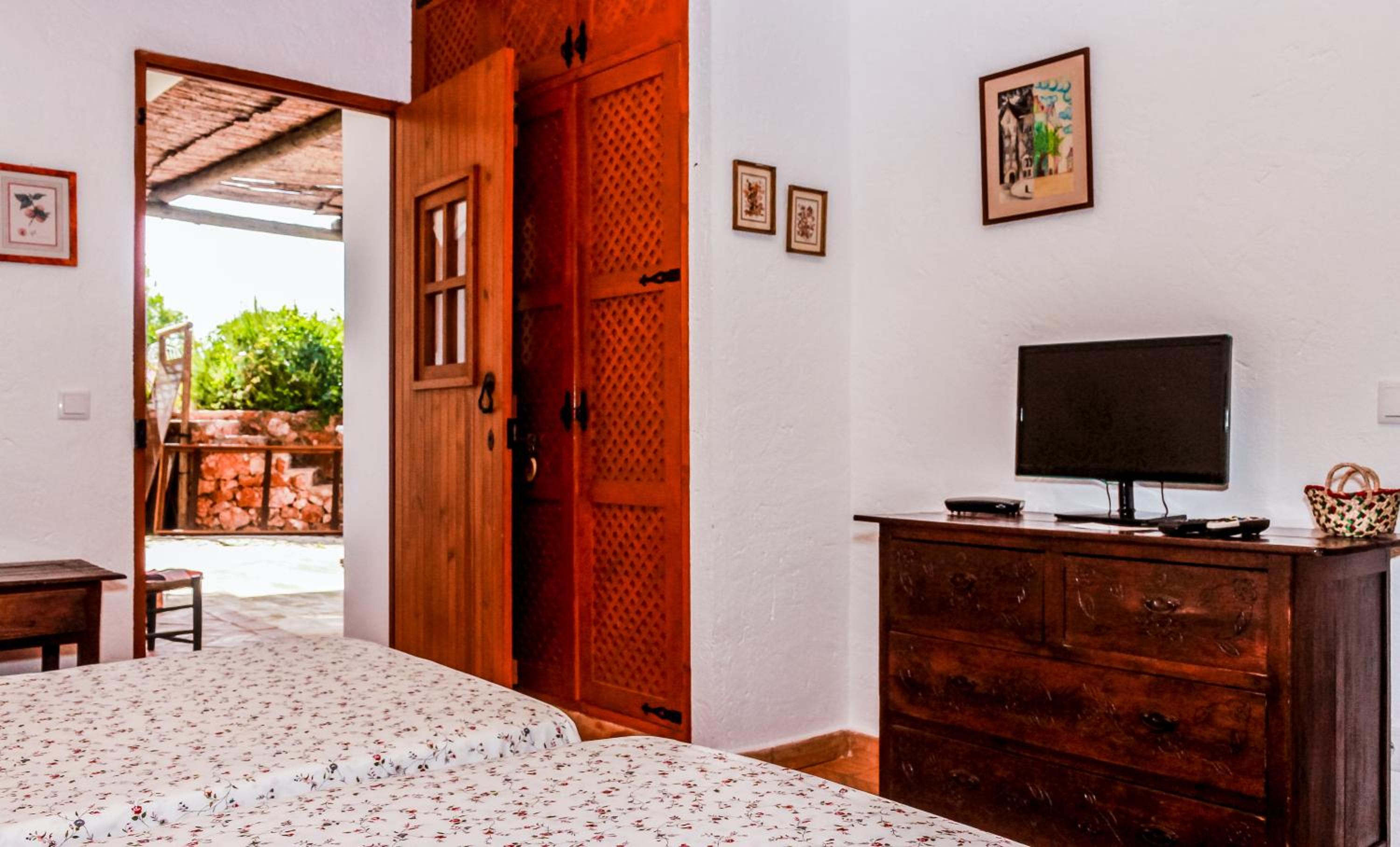 Apartment with Terrace photo 3