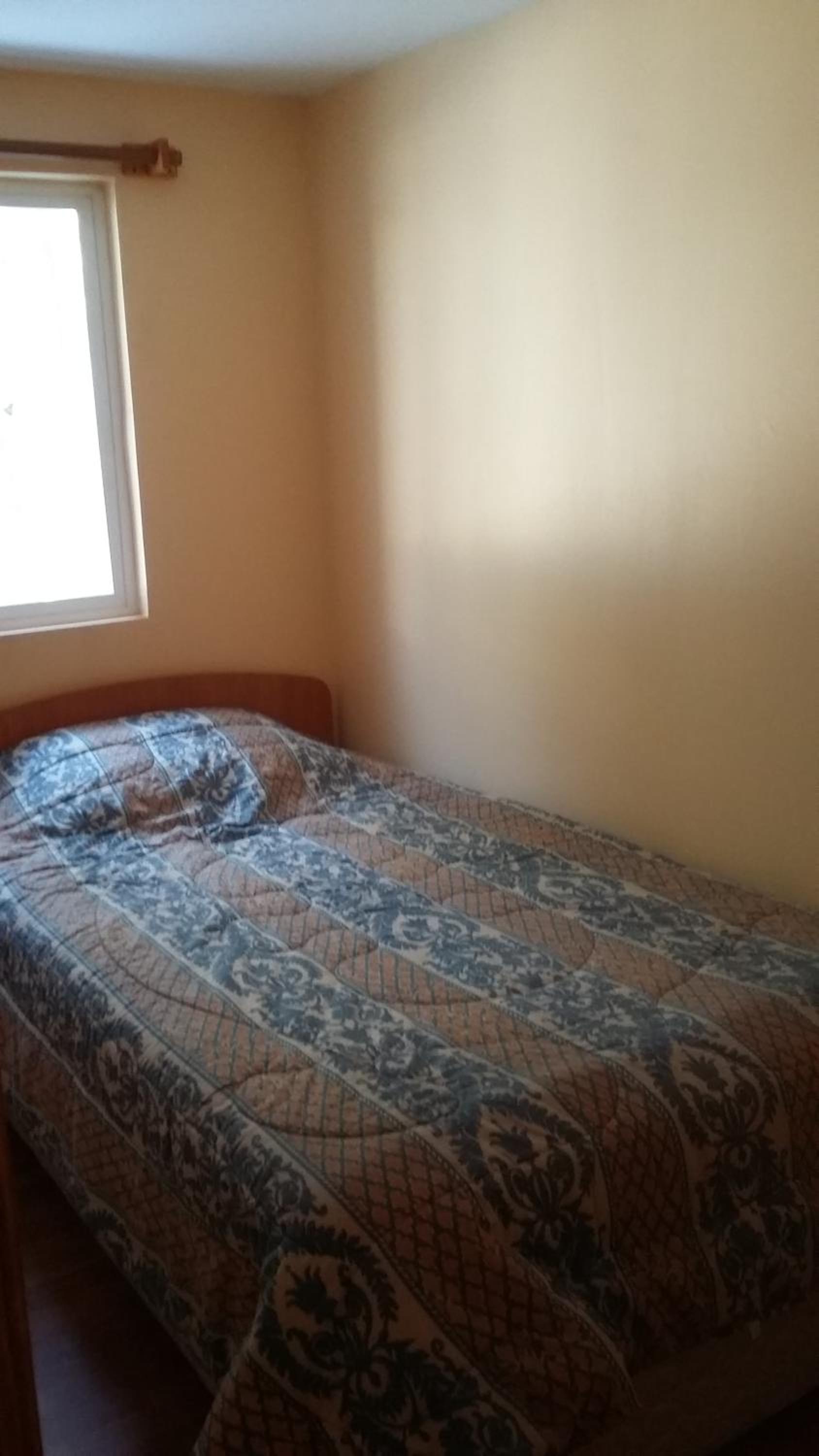 Twin Room with Bathroom photo 1
