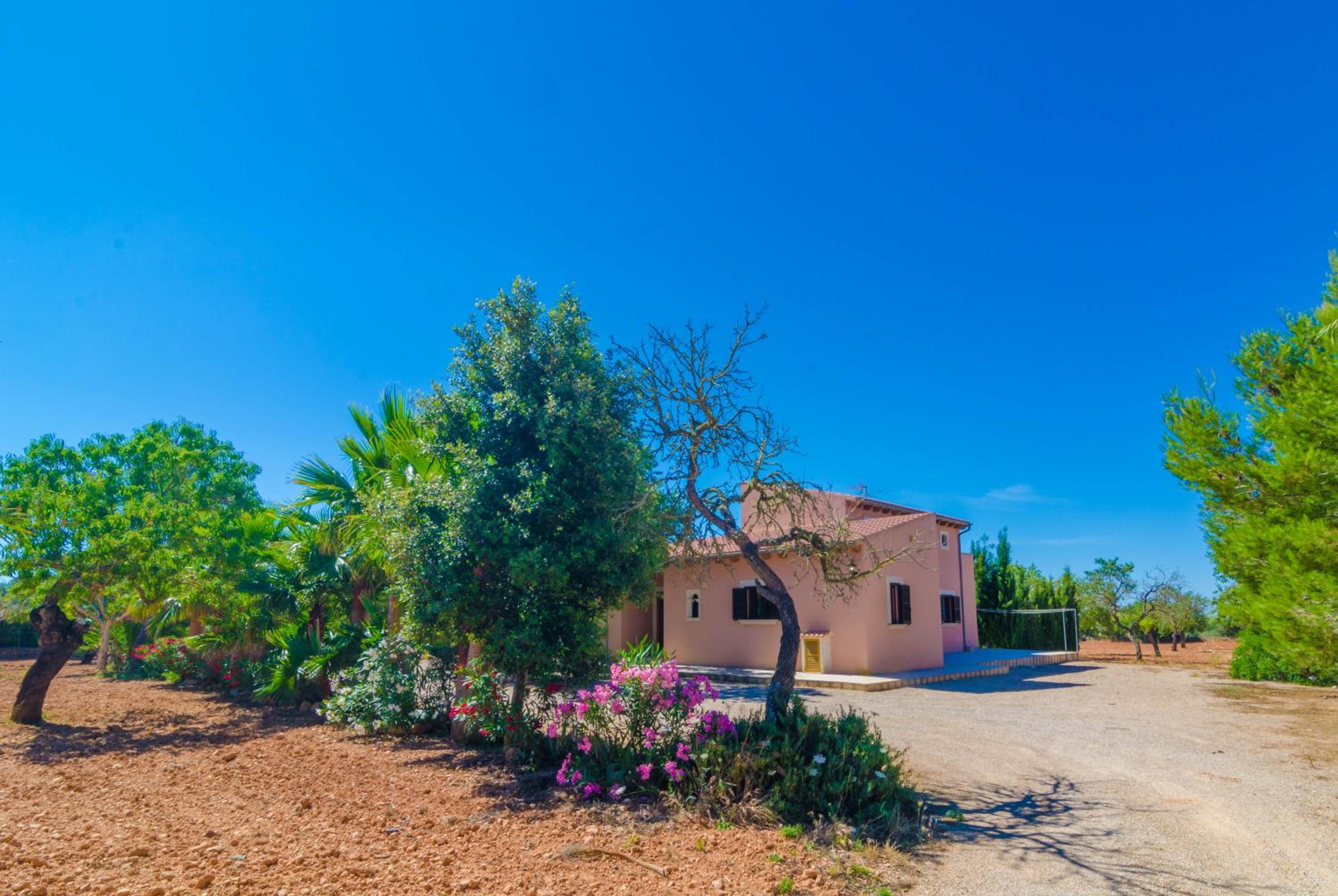 Villa photo 3