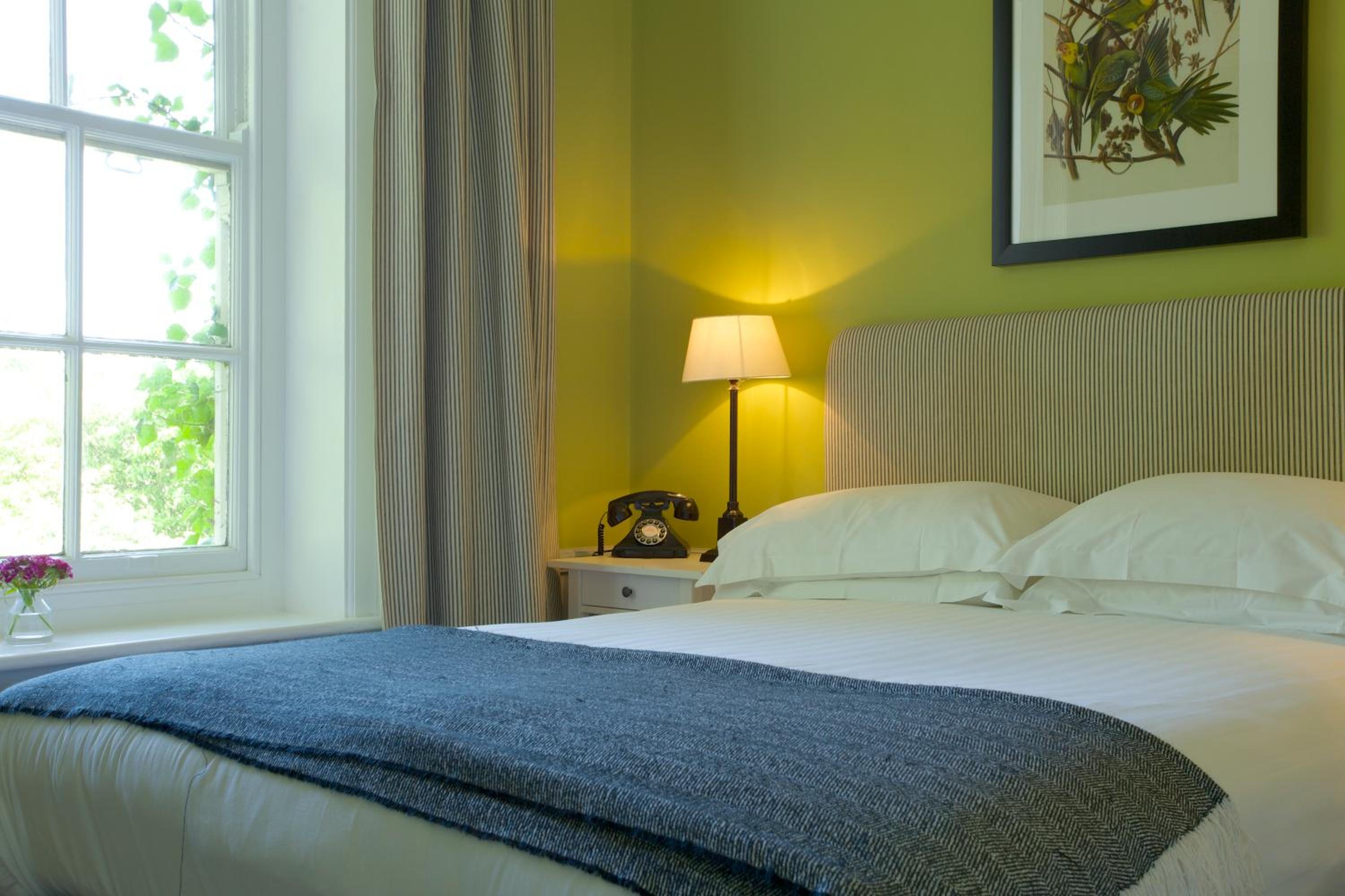 Cozy Room - Photo 4