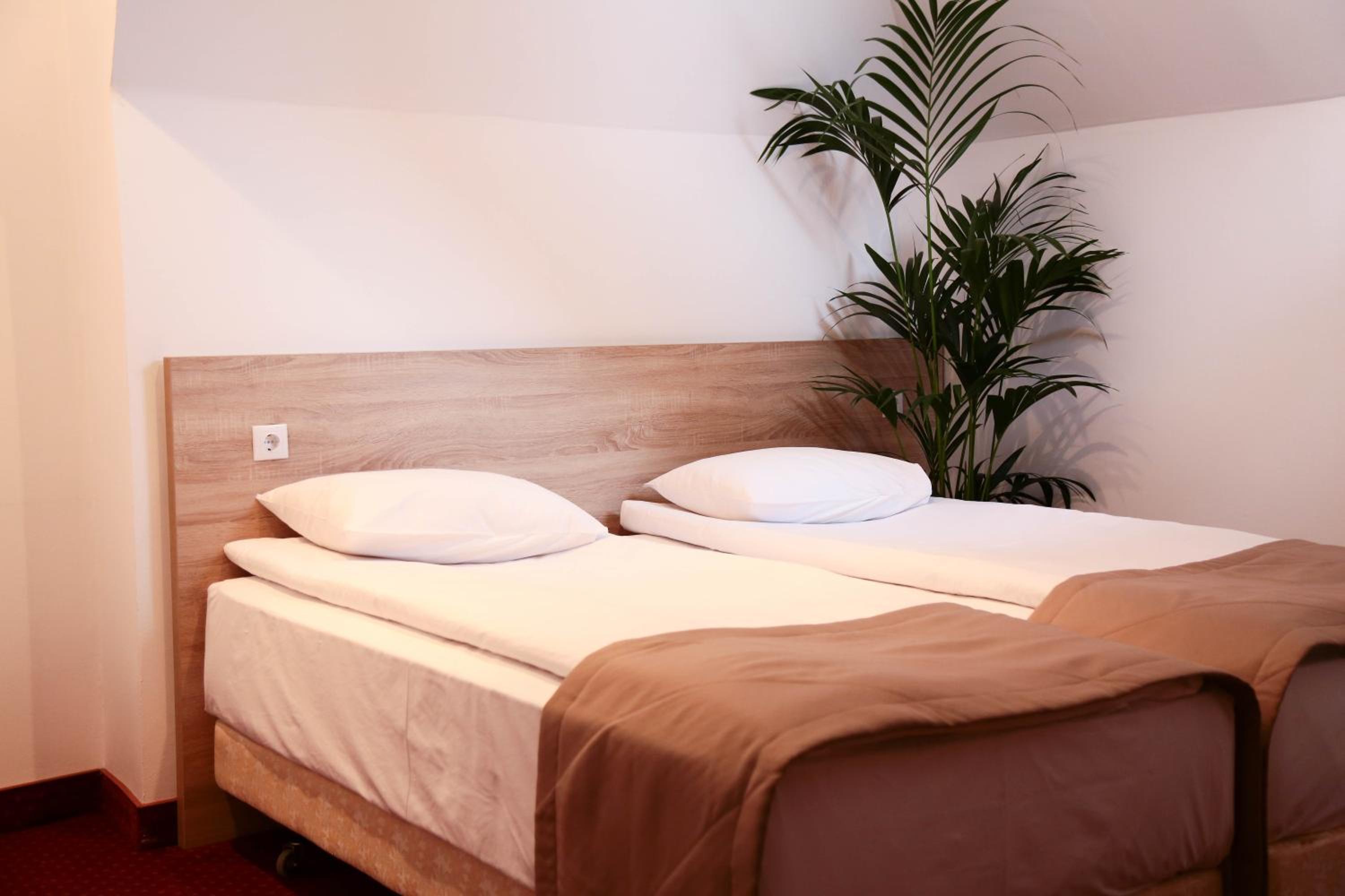 Double or Twin Room photo 2