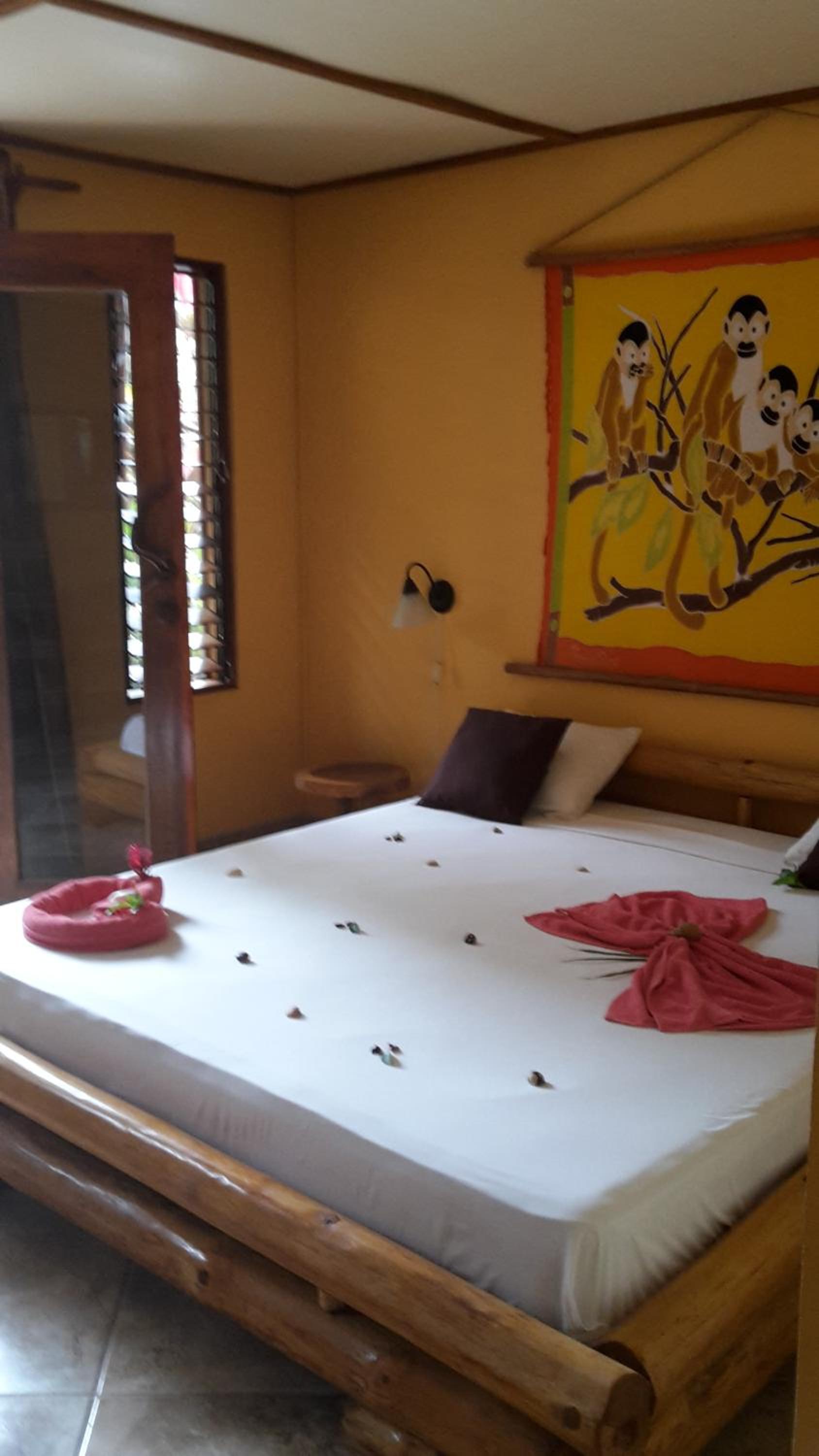 King Room with Garden View photo 3
