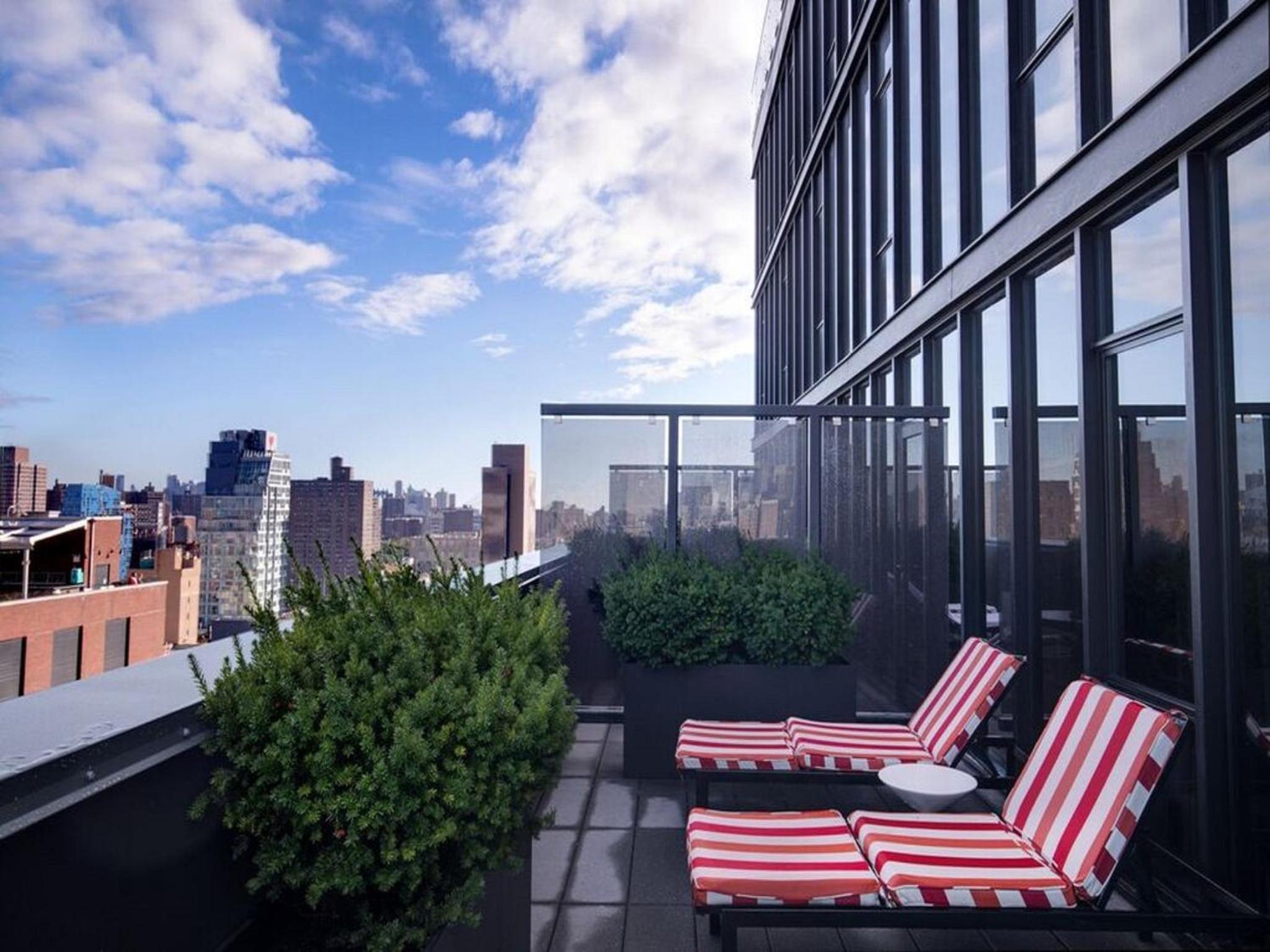 King Suite with Terrace photo 2