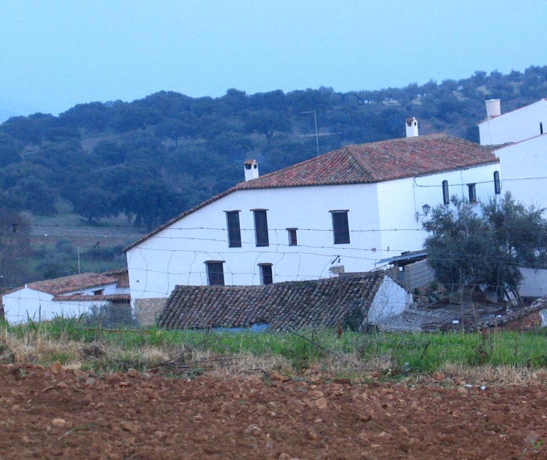 Five-Bedroom House (10 Adults) photo 3