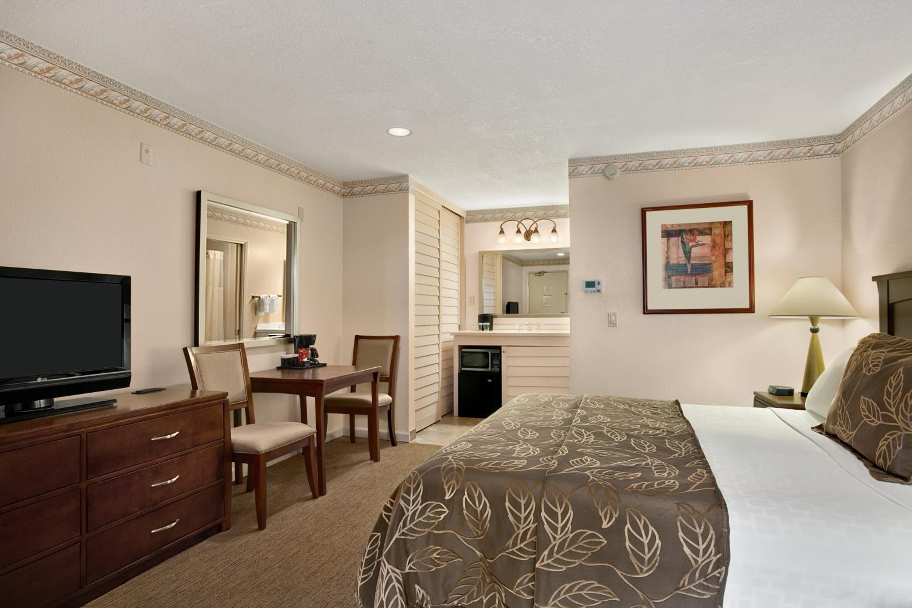 King Room - Photo 6