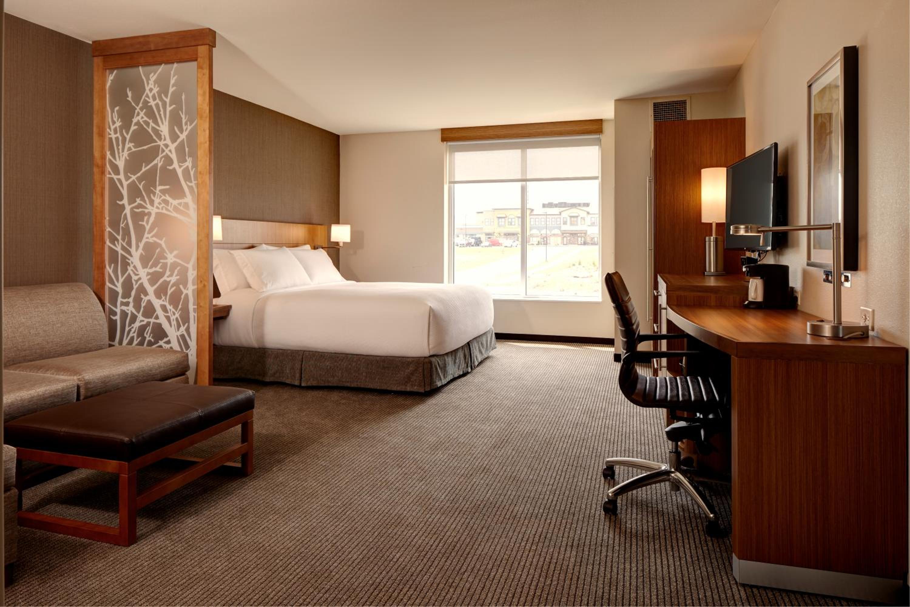 King Room with Sofa Bed and Roll-In Shower - Disability Access photo 3