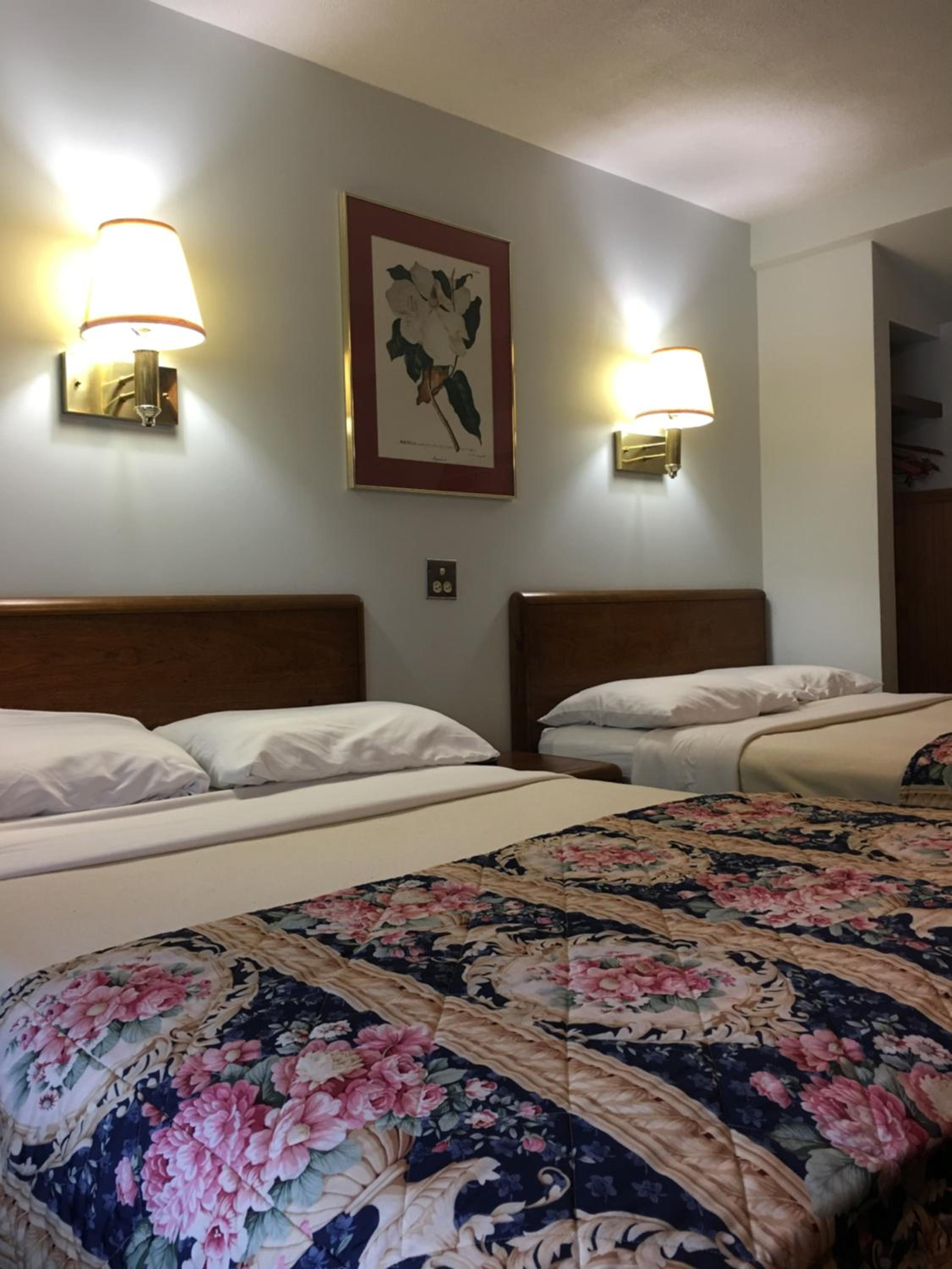Deluxe Quadruple Room photo 2