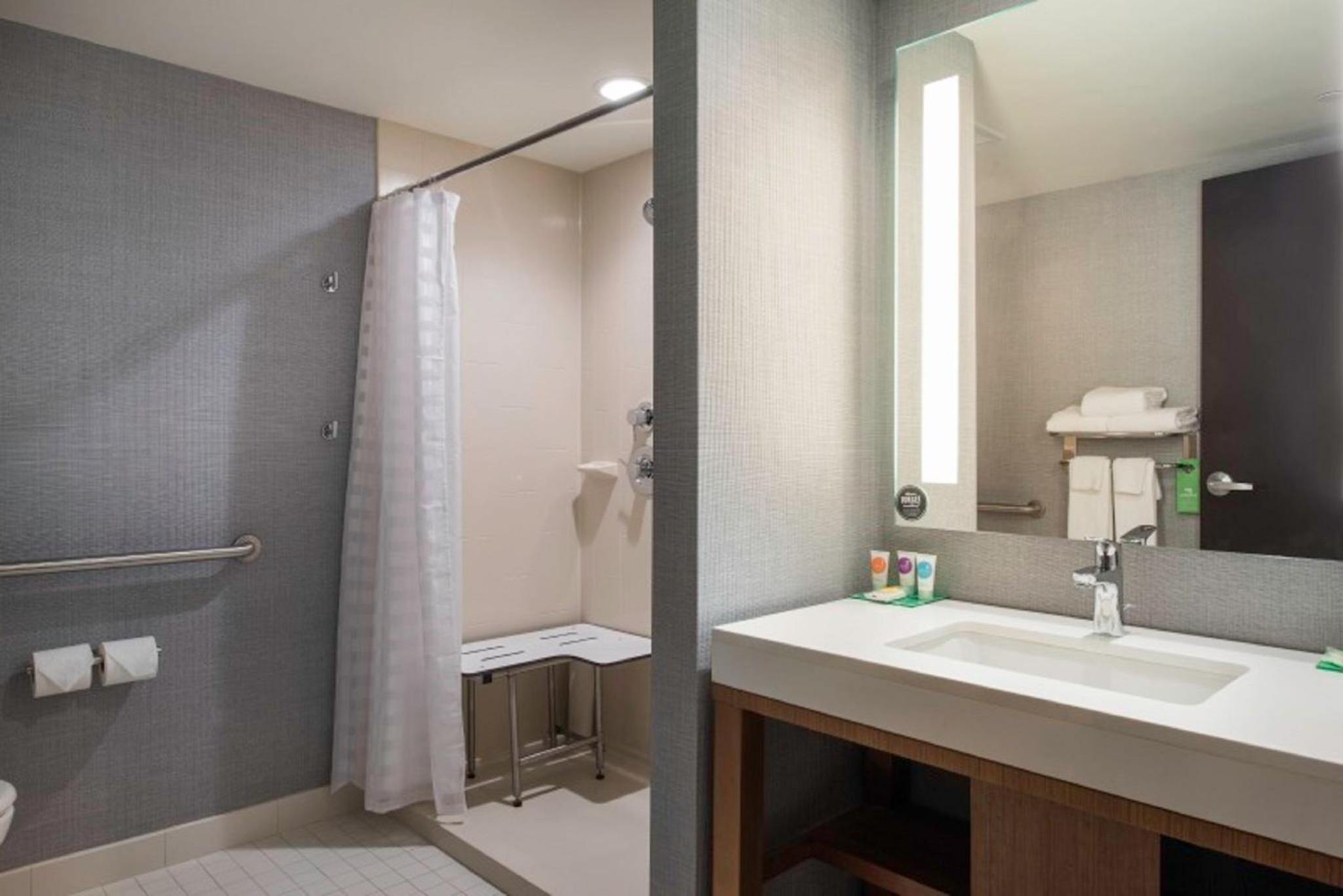 King Room with Sofa Bed and Roll-In Shower - Disability Access