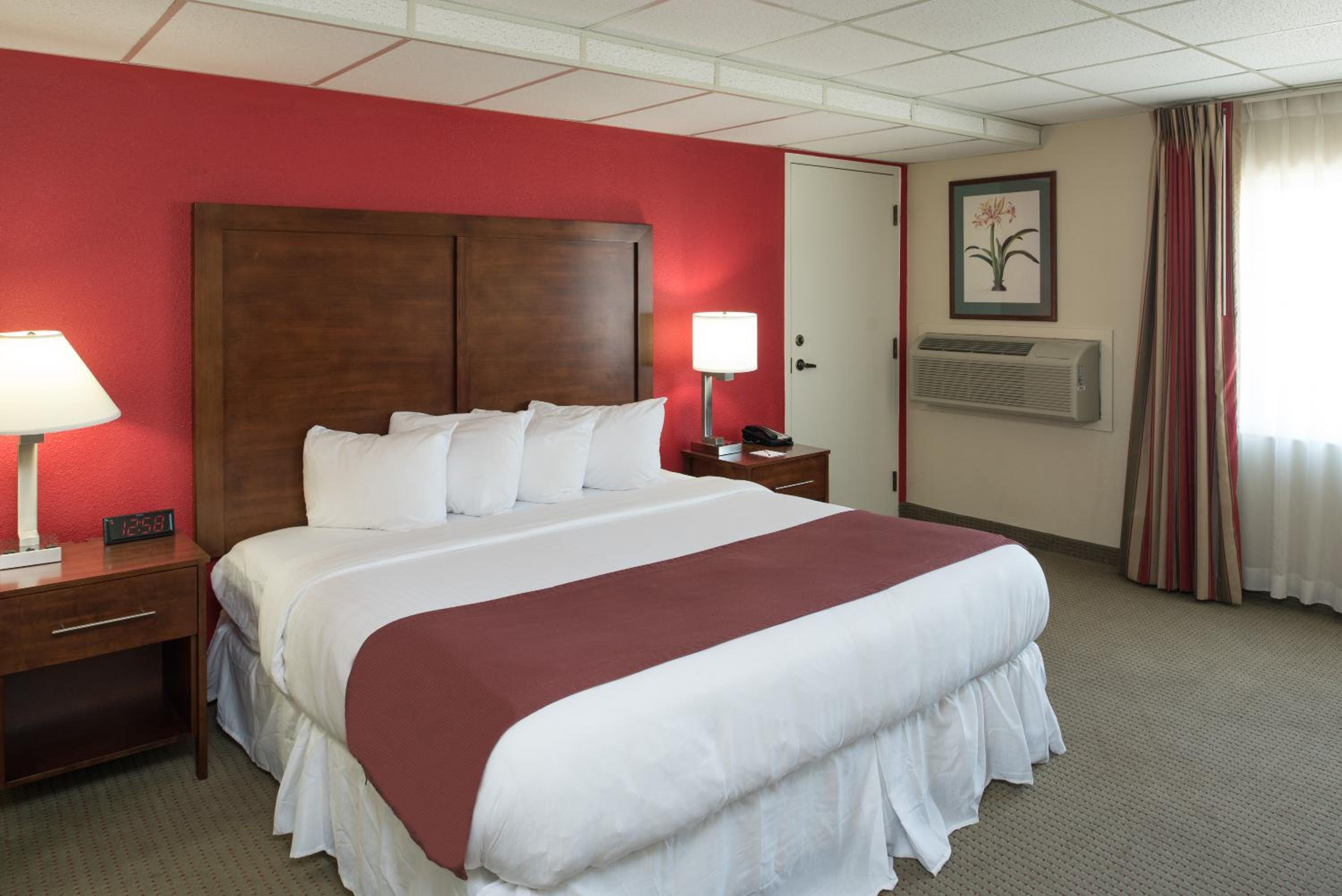 King Room - Non-Smoking - Photo 2
