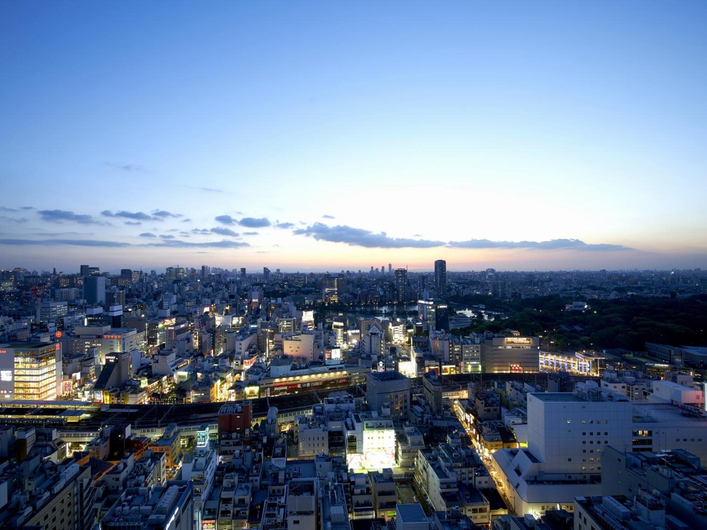 Tokyo City View Comfort Single - Smoking photo 2