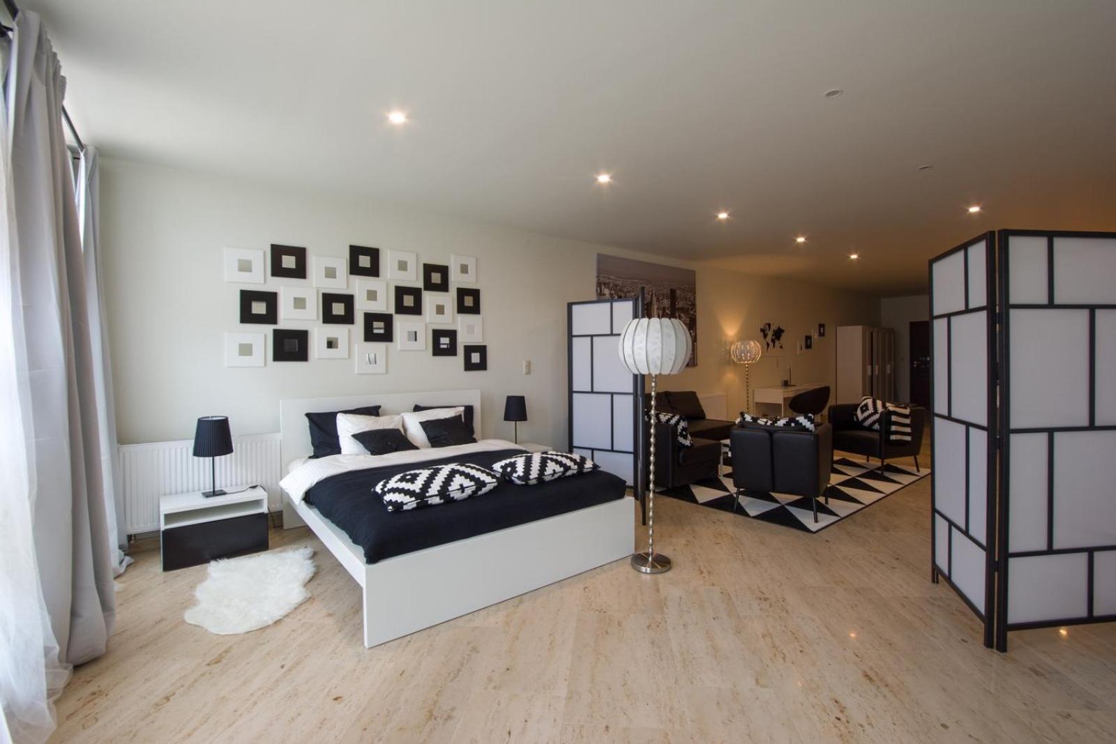 One-Bedroom Apartment photo 2