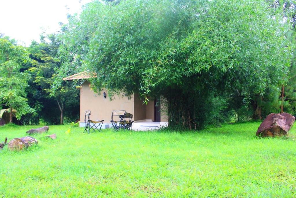 Cottage photo 3