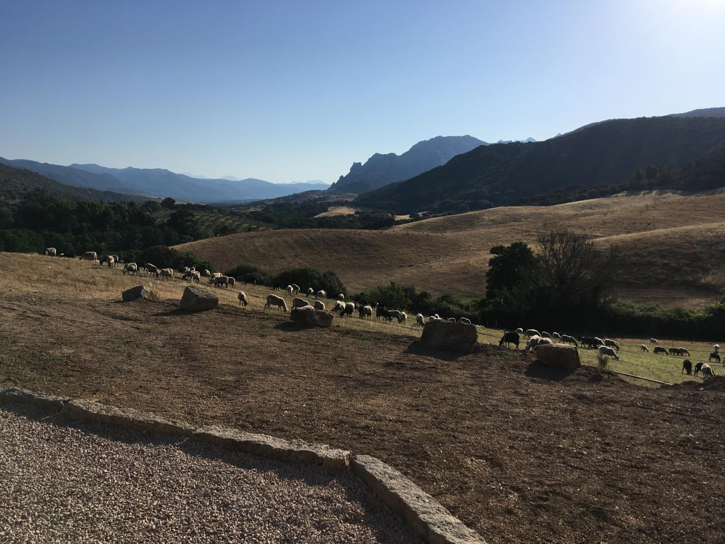 Double Room with Terrace - Photo 1