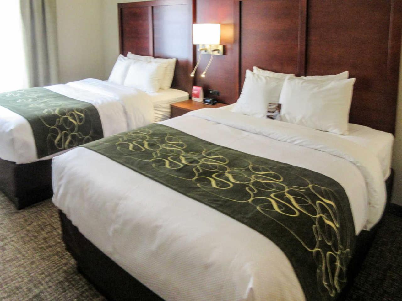 Queen Suite with Two Queen Beds - Non-Smoking photo 1