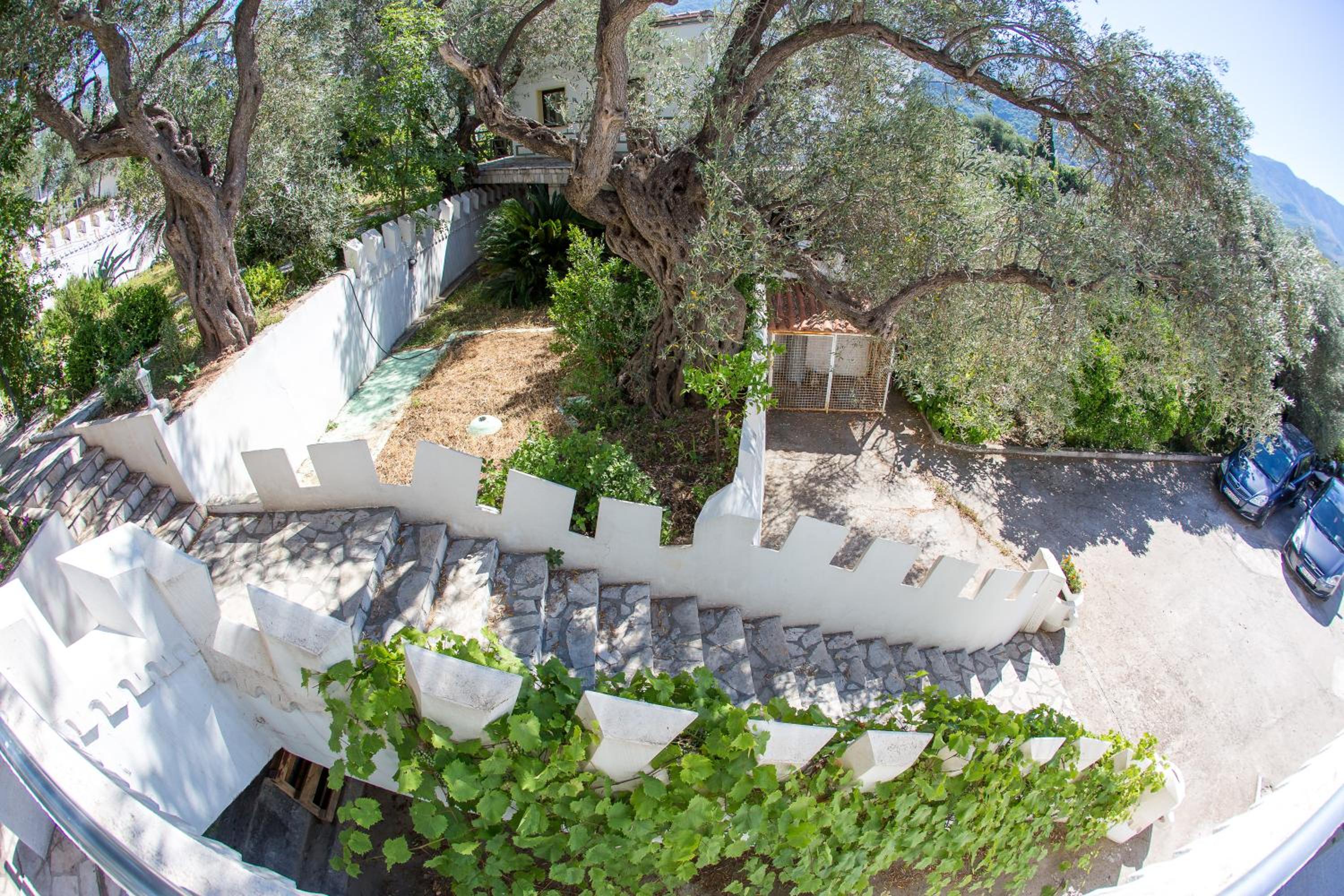 Villa with Sea View photo 3