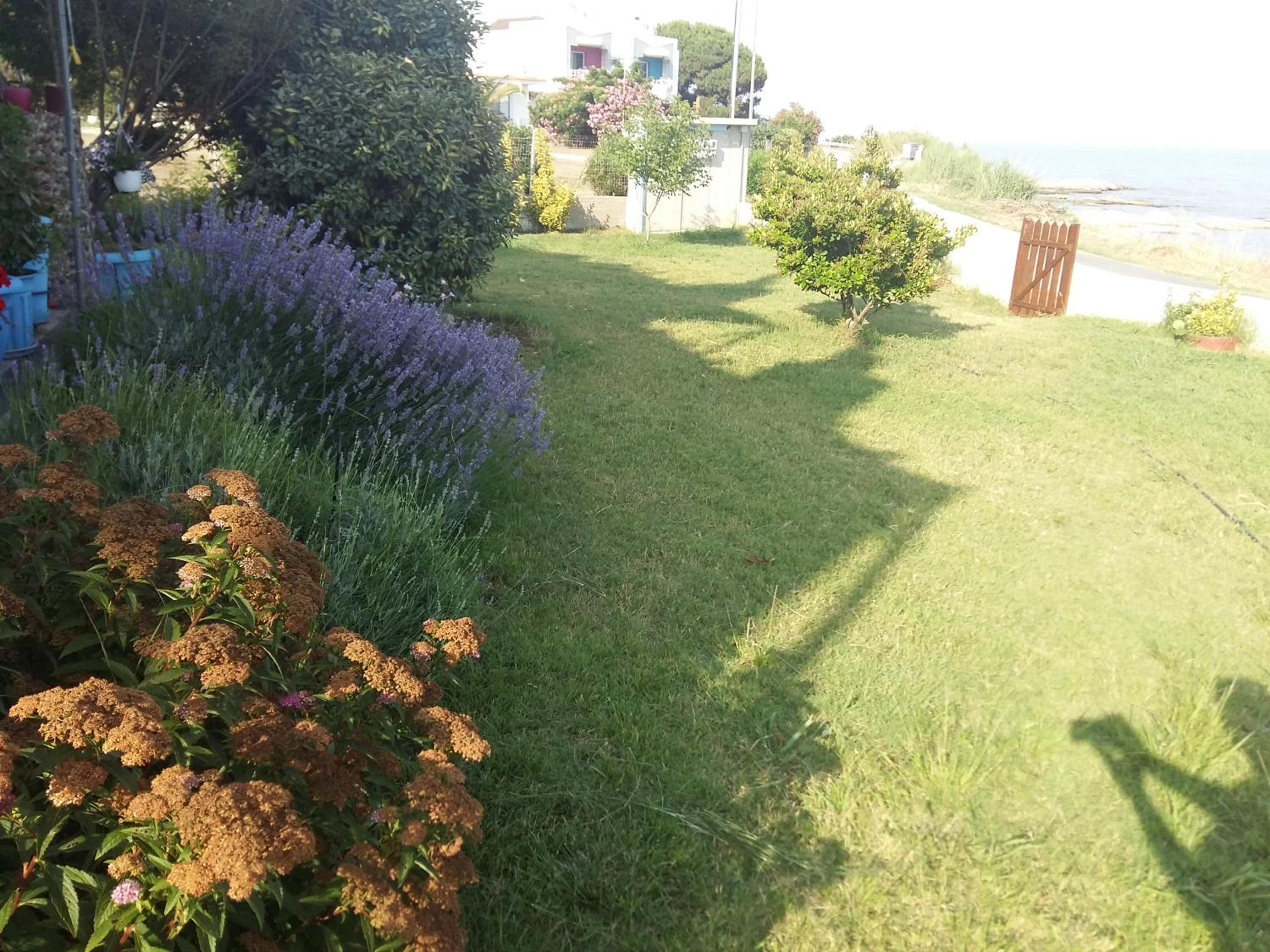 Deluxe Villa photo 3