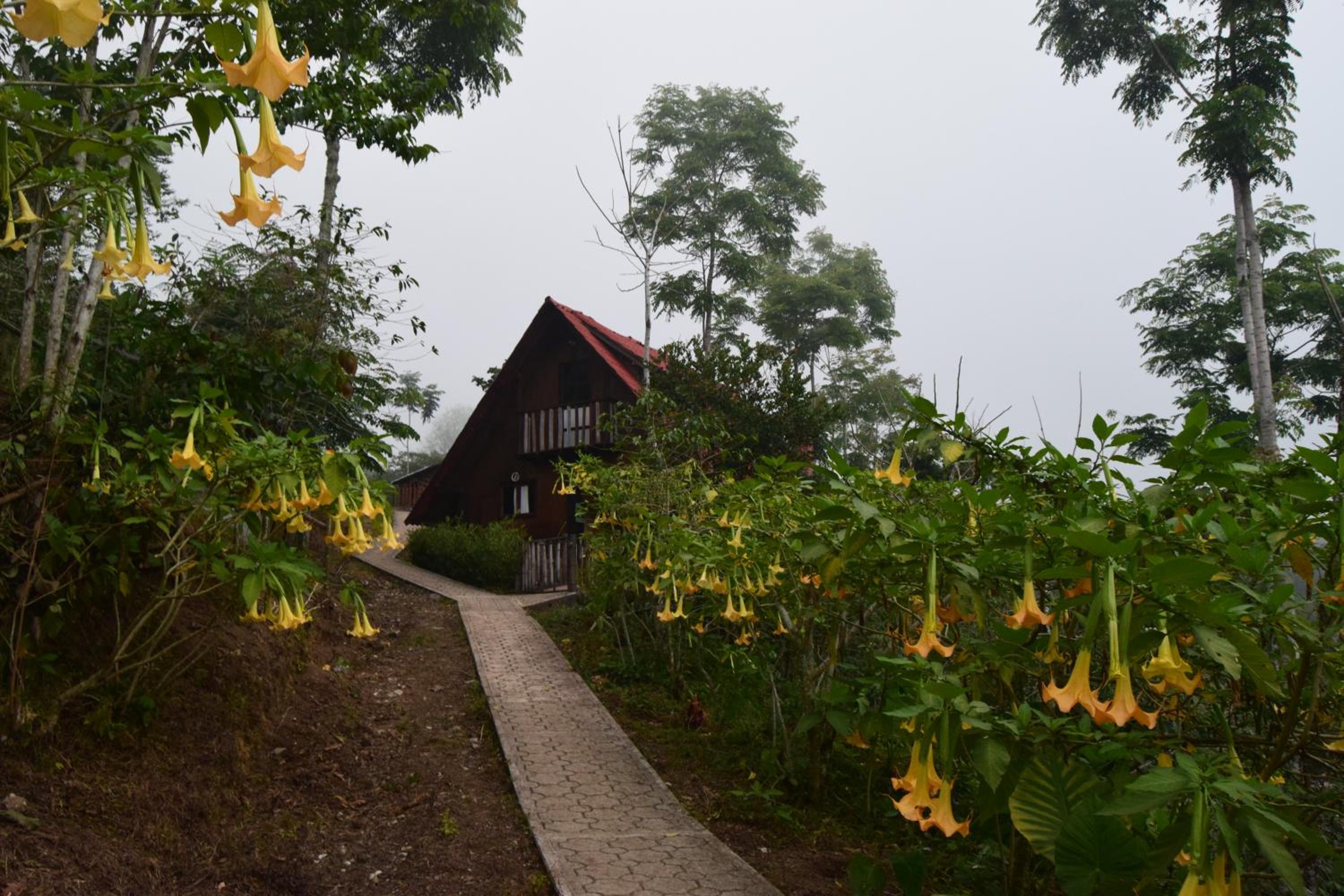 Cabaña La Palma photo 2