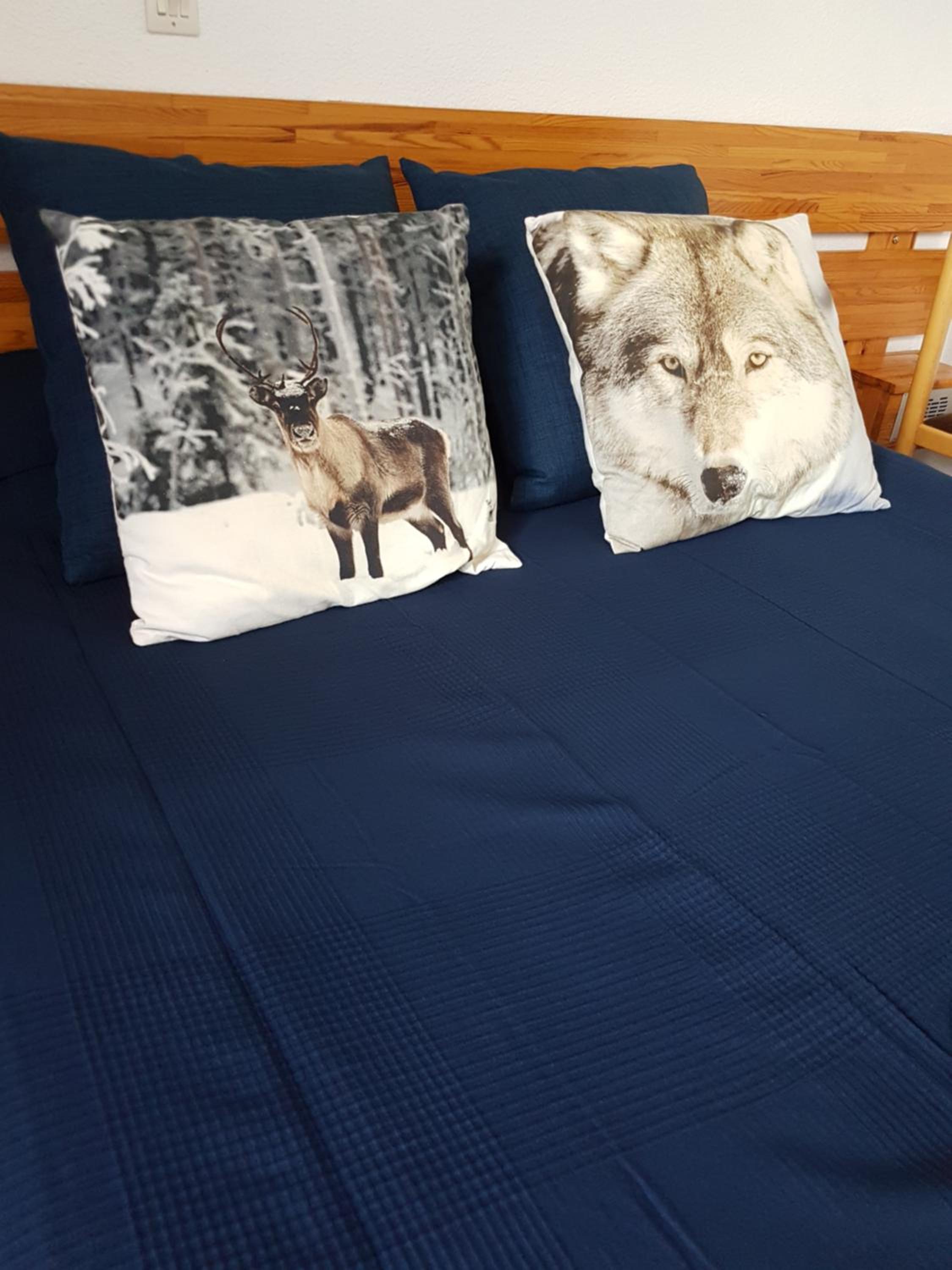 Double Room photo 2