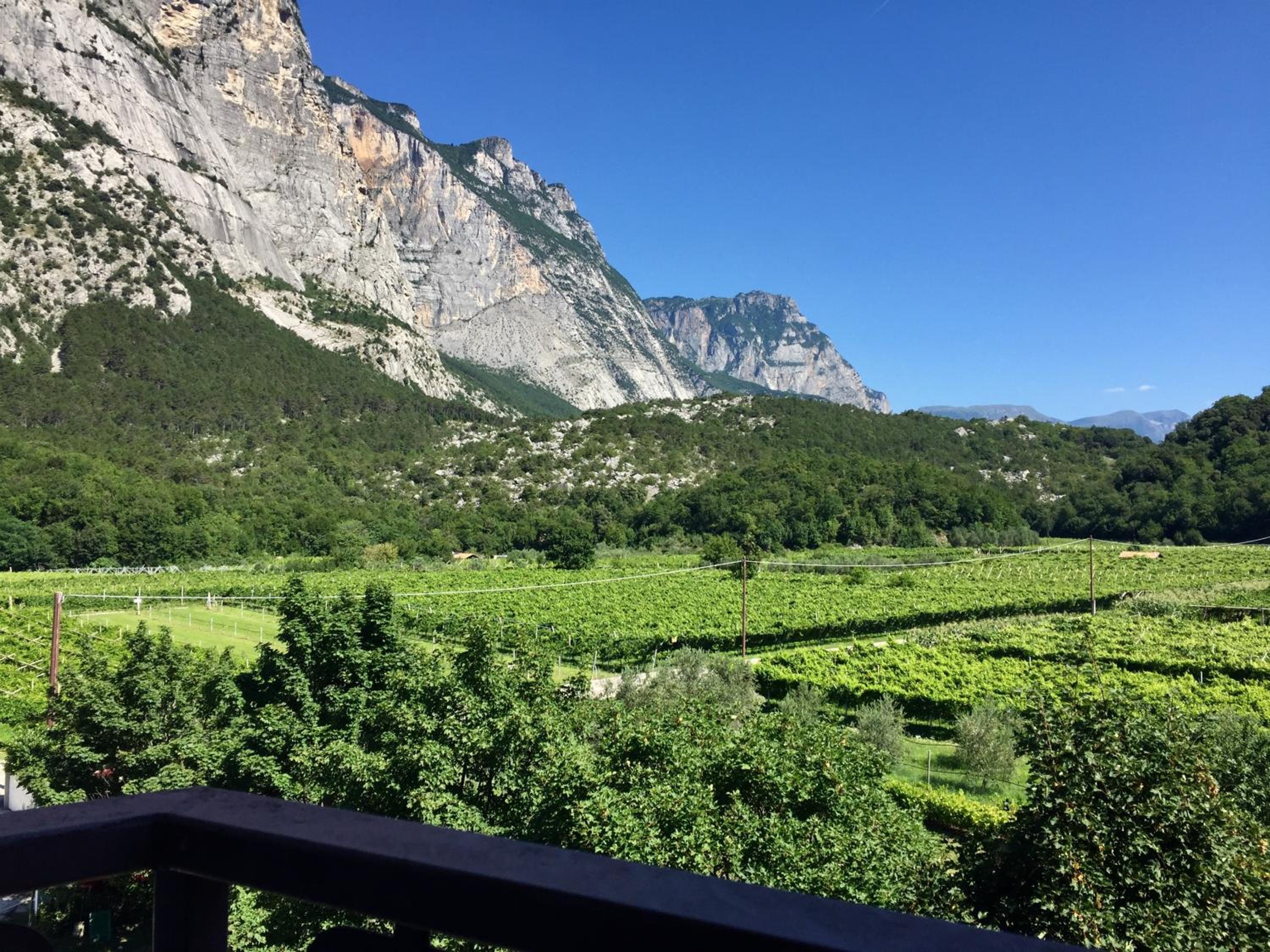 Triple Room with Mountain View photo 2