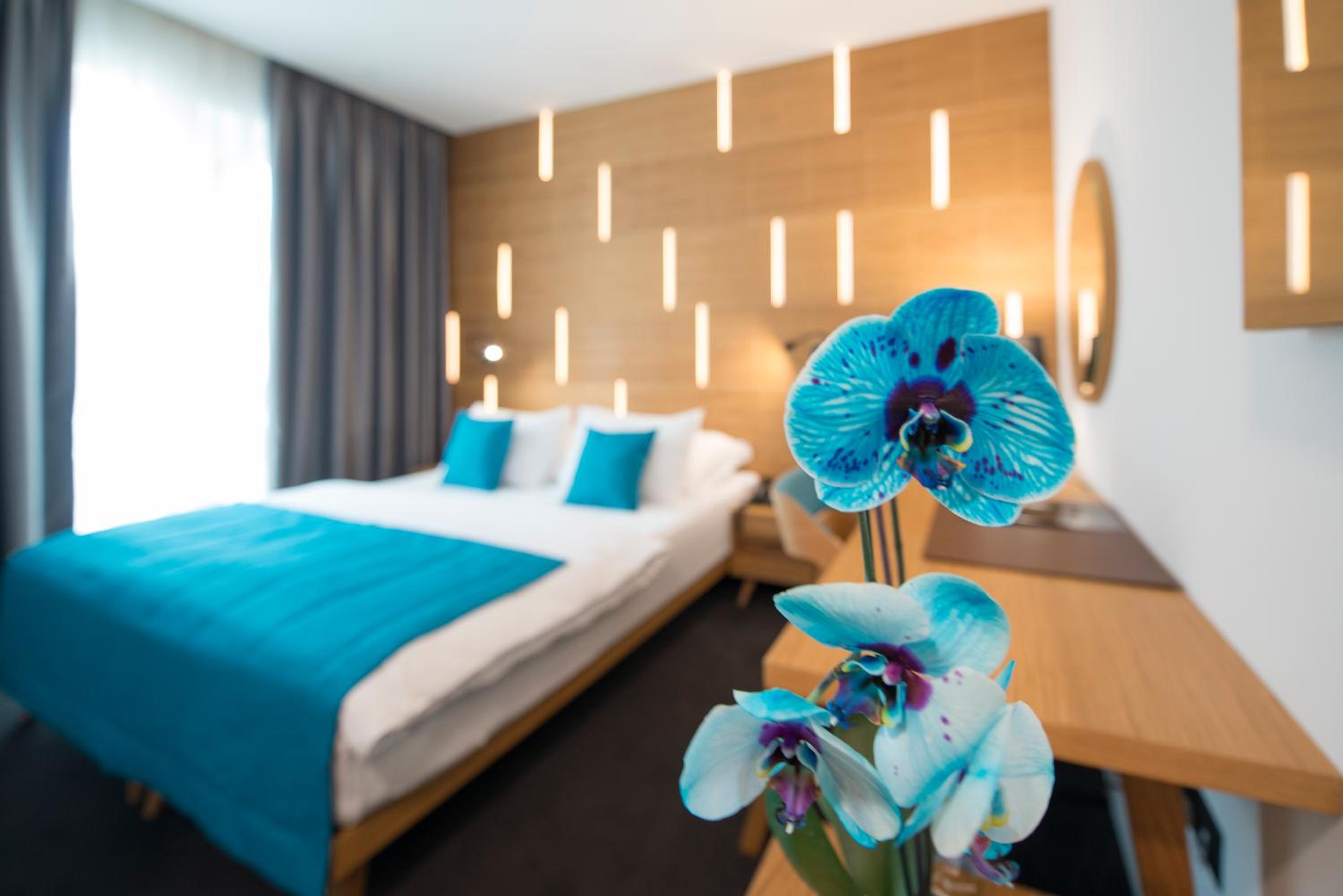 Deluxe Double or Twin Room photo 2