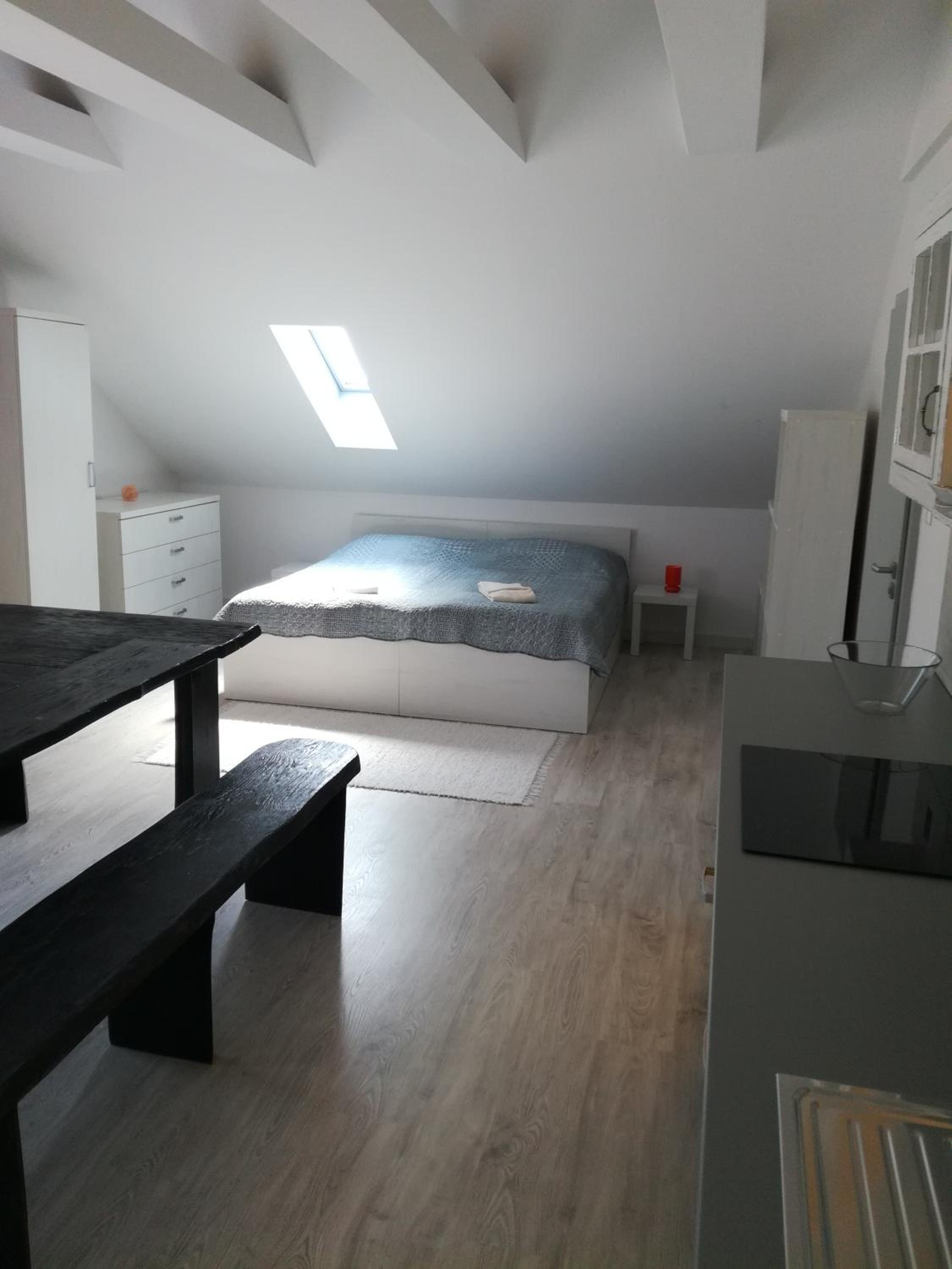 Studio Apartment - Photo 4
