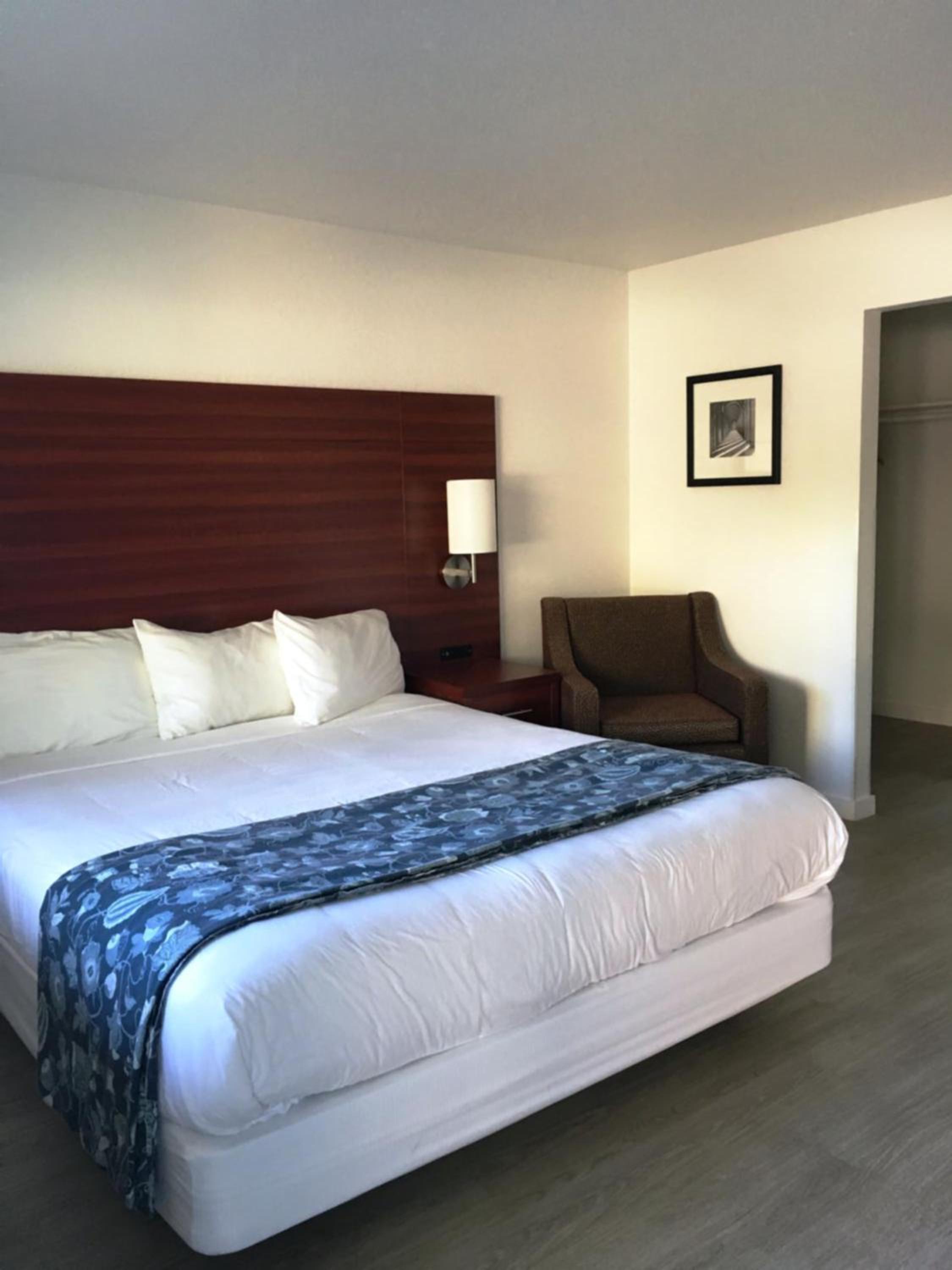 King Room - Photo 5