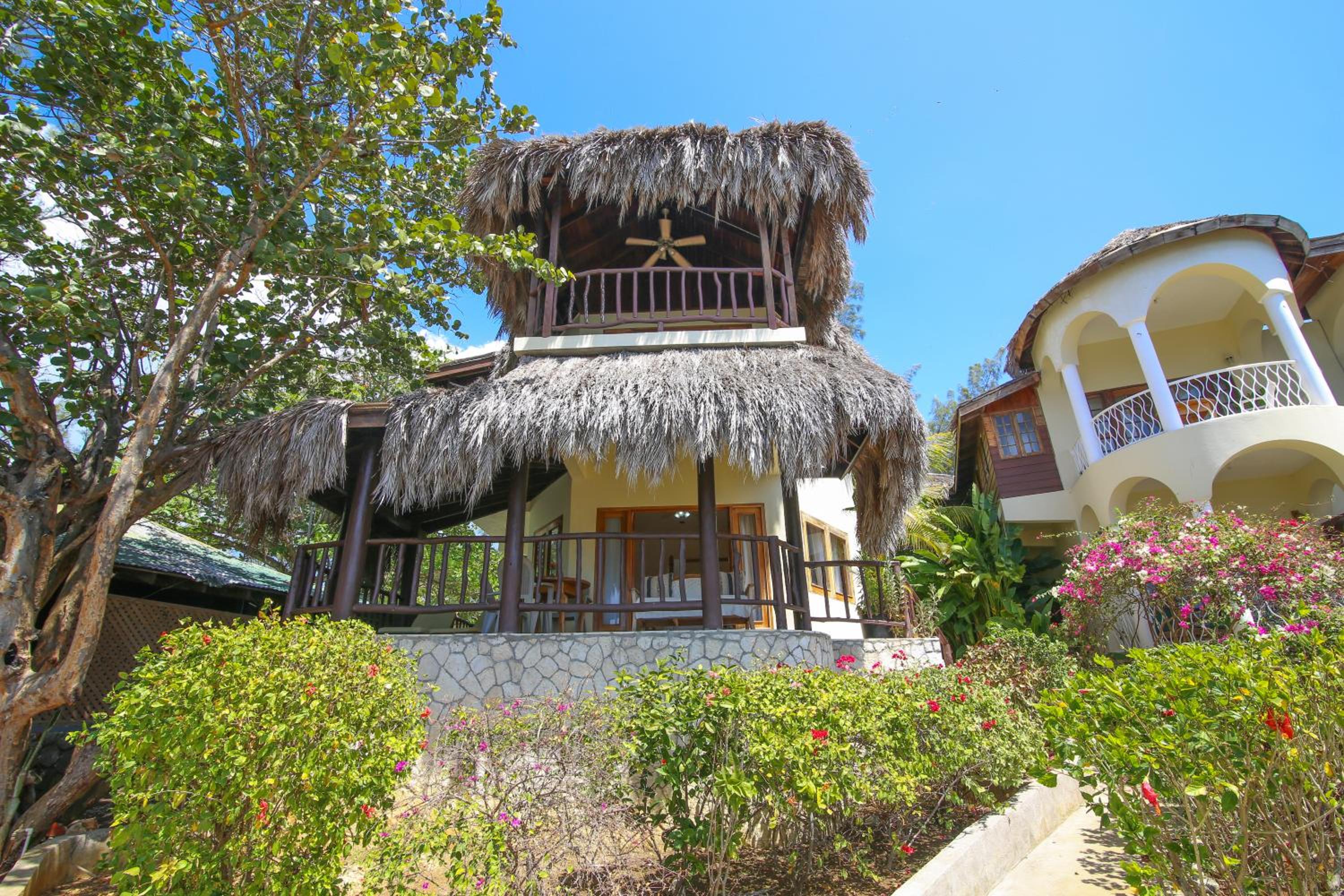 Coral Suite photo 3