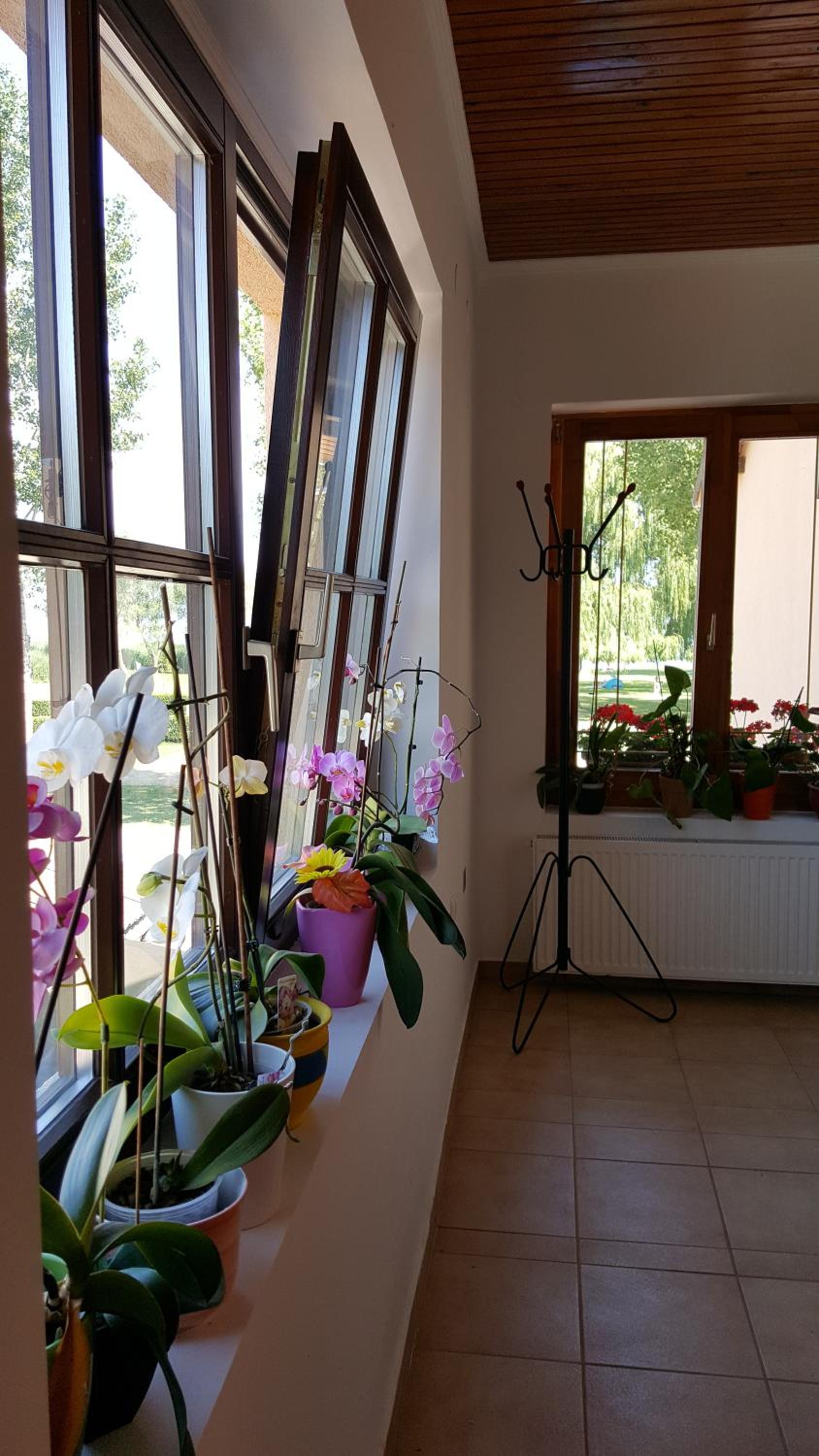 Triple Room with Bathroom - Photo 11