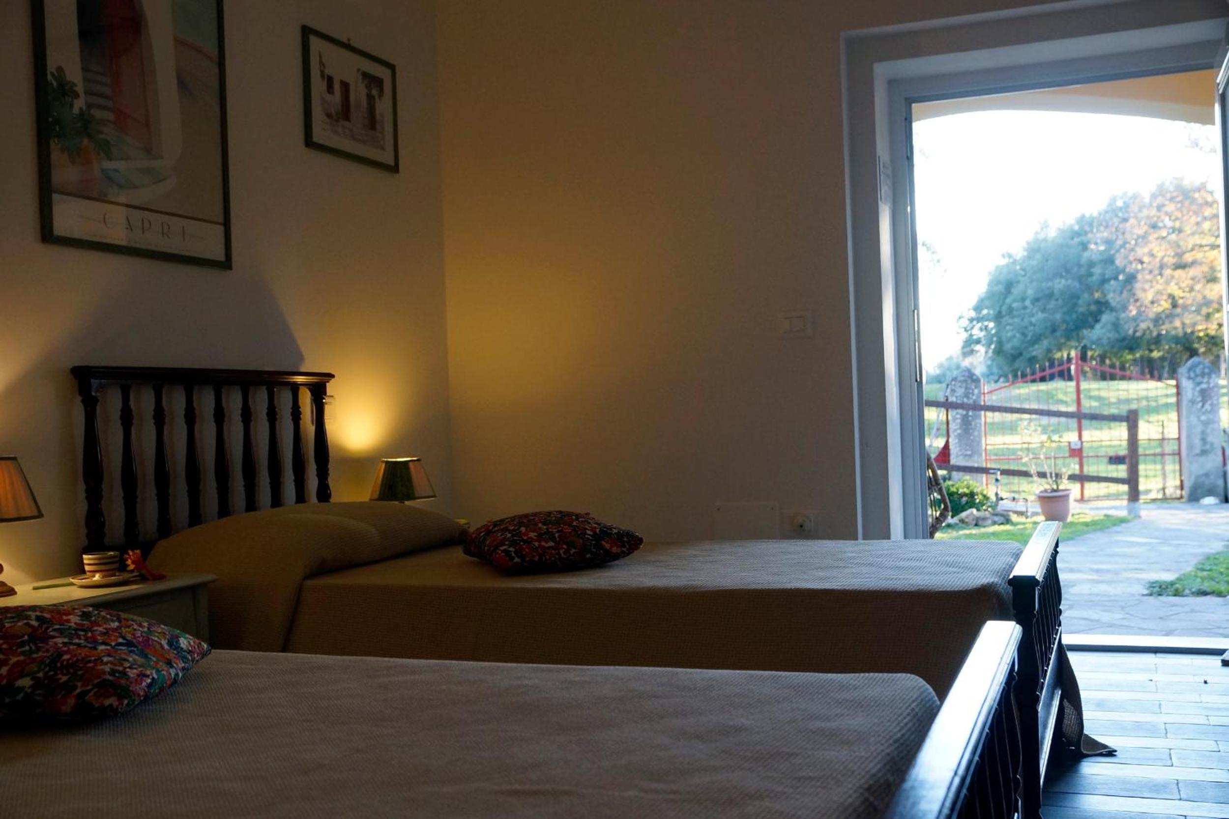 Twin Room photo 3