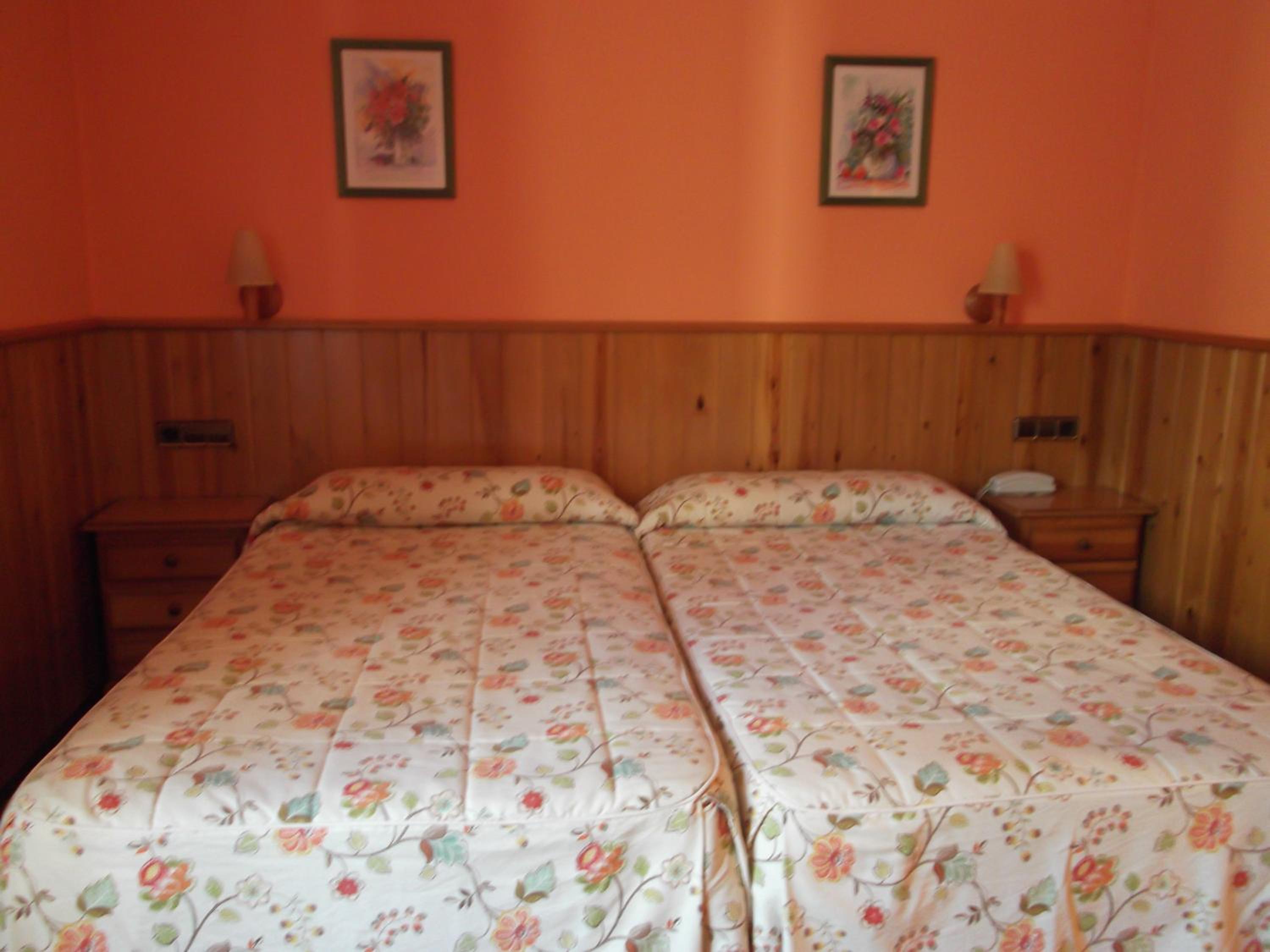 Twin Room with Mountain View photo 3