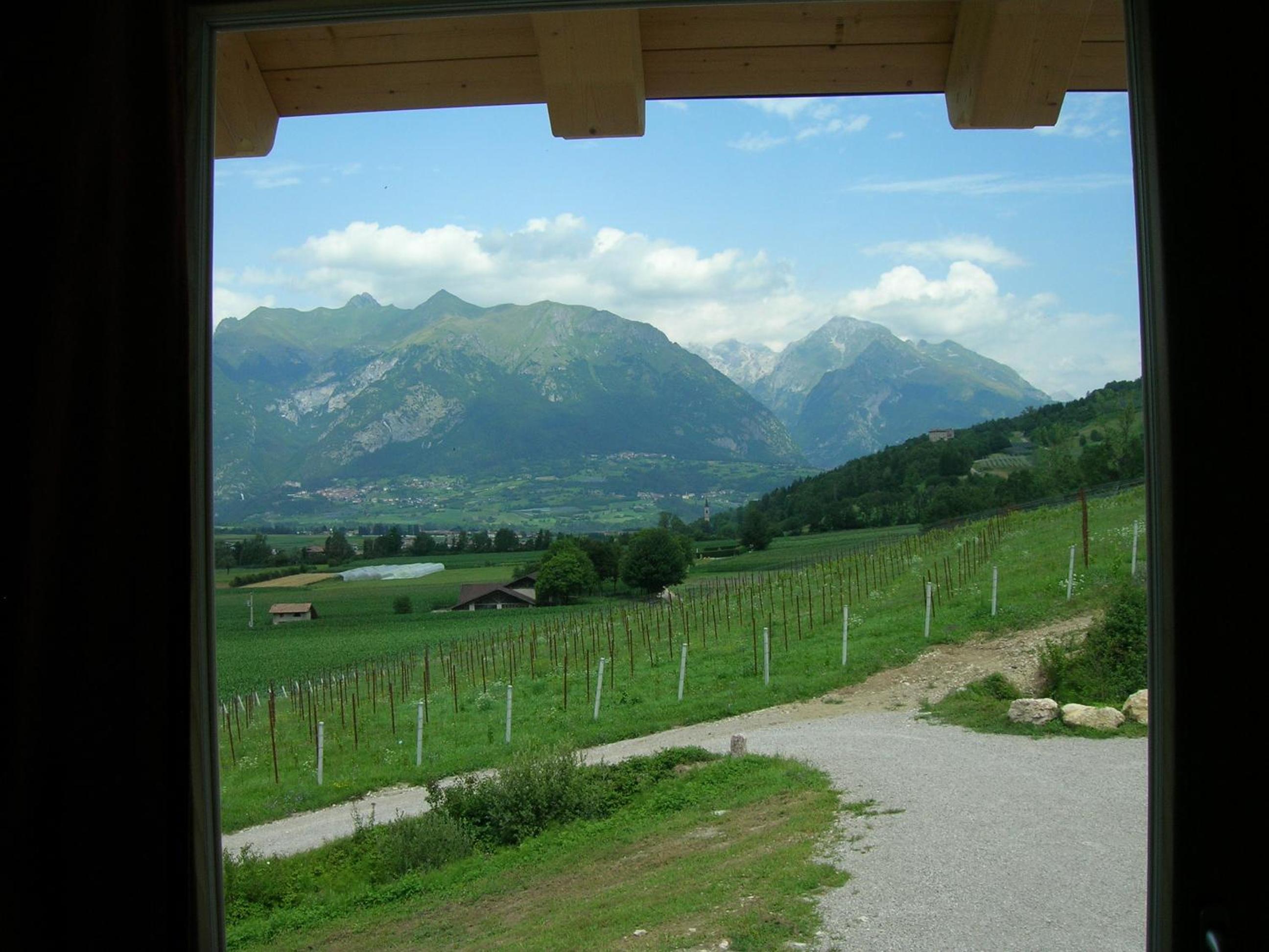 Double Room With Mountain View photo 2