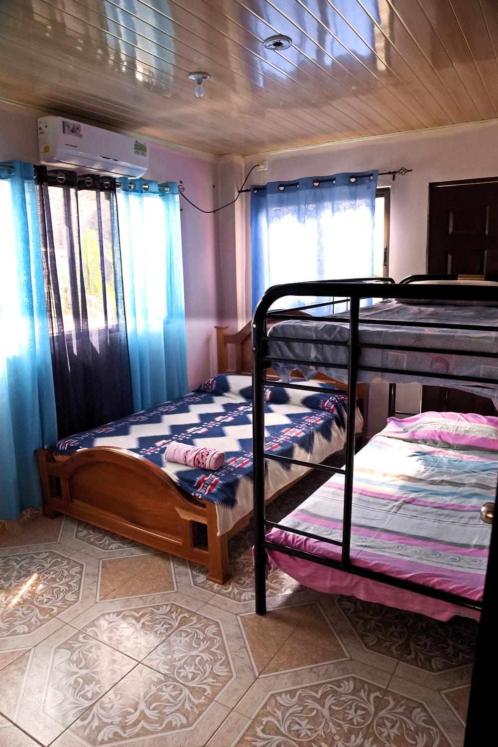 Bunk Bed In Mixed Dormitory Room photo 3