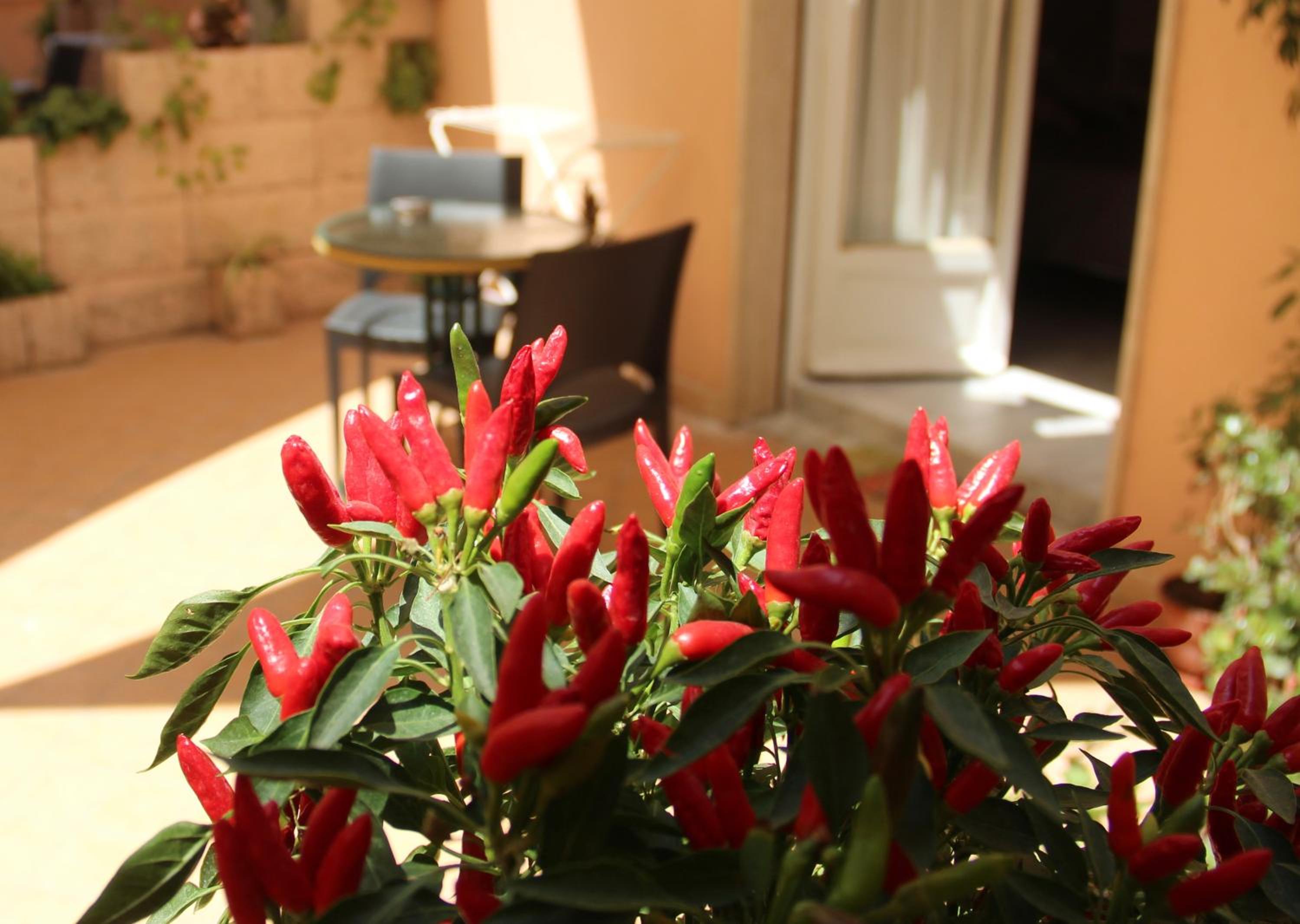Double Room with Terrace - Photo 38