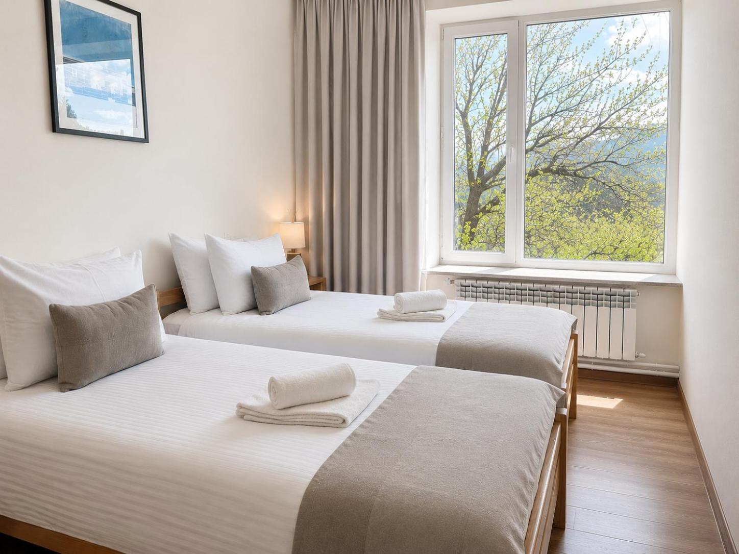 Economy Twin Room