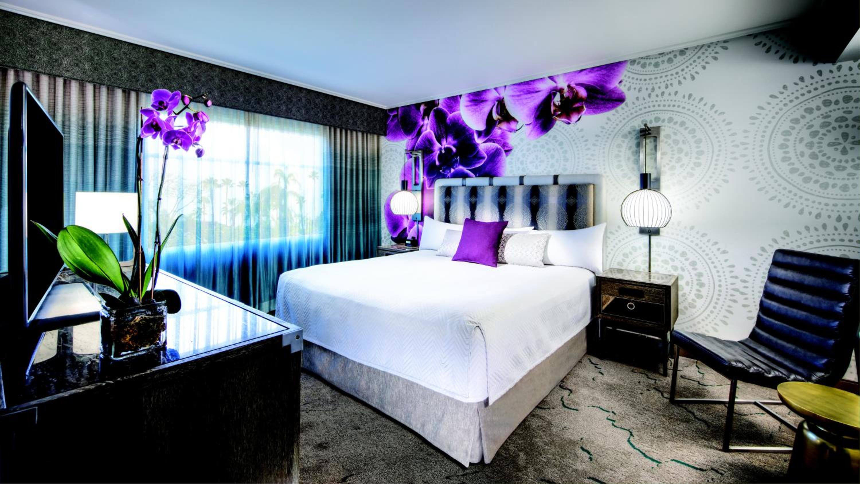 Kids Suite (Includes FREE^ Universal Express Unlimited) thumbnail 5