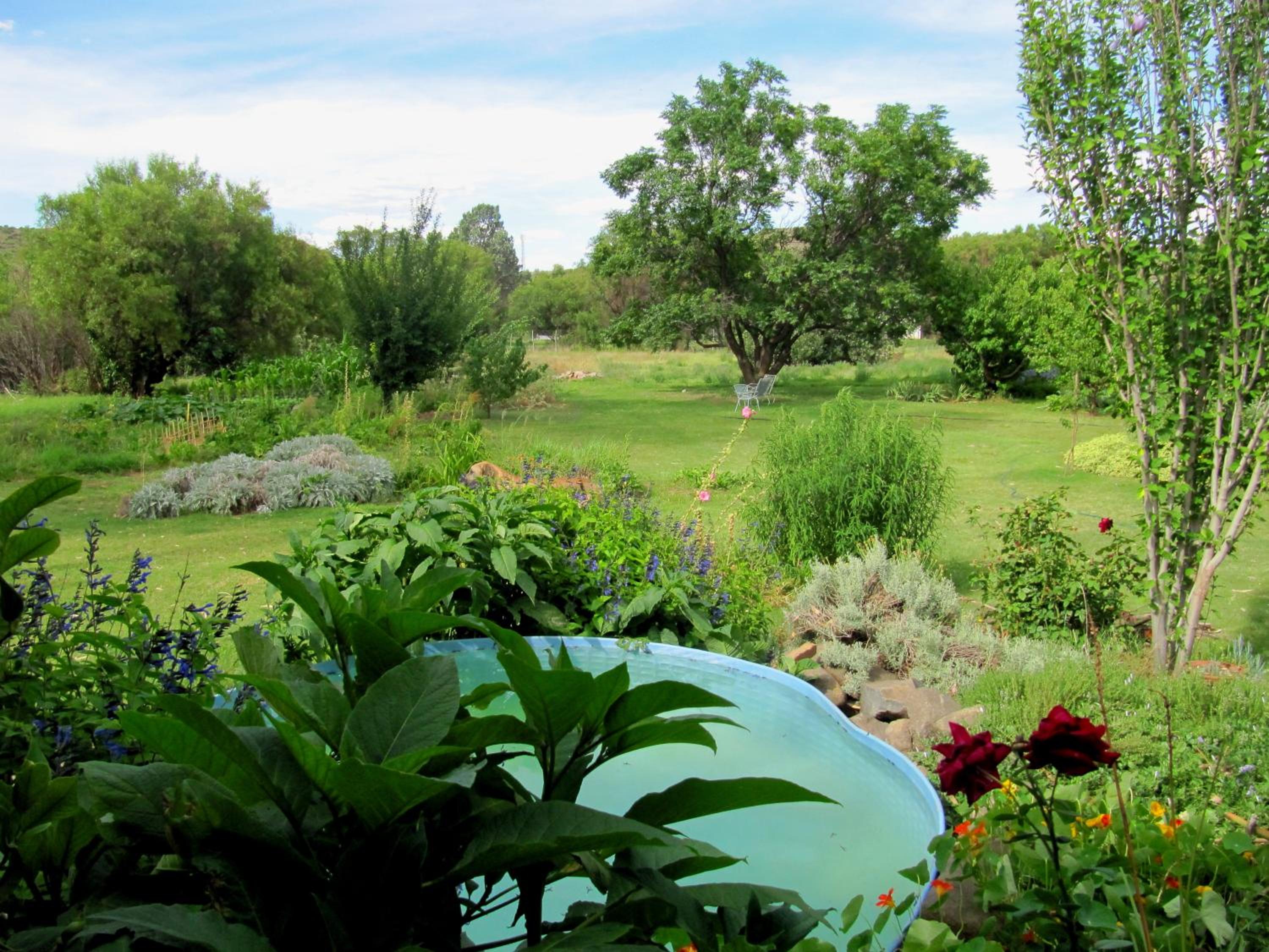 Two-Bedroom Cottage - Photo 10