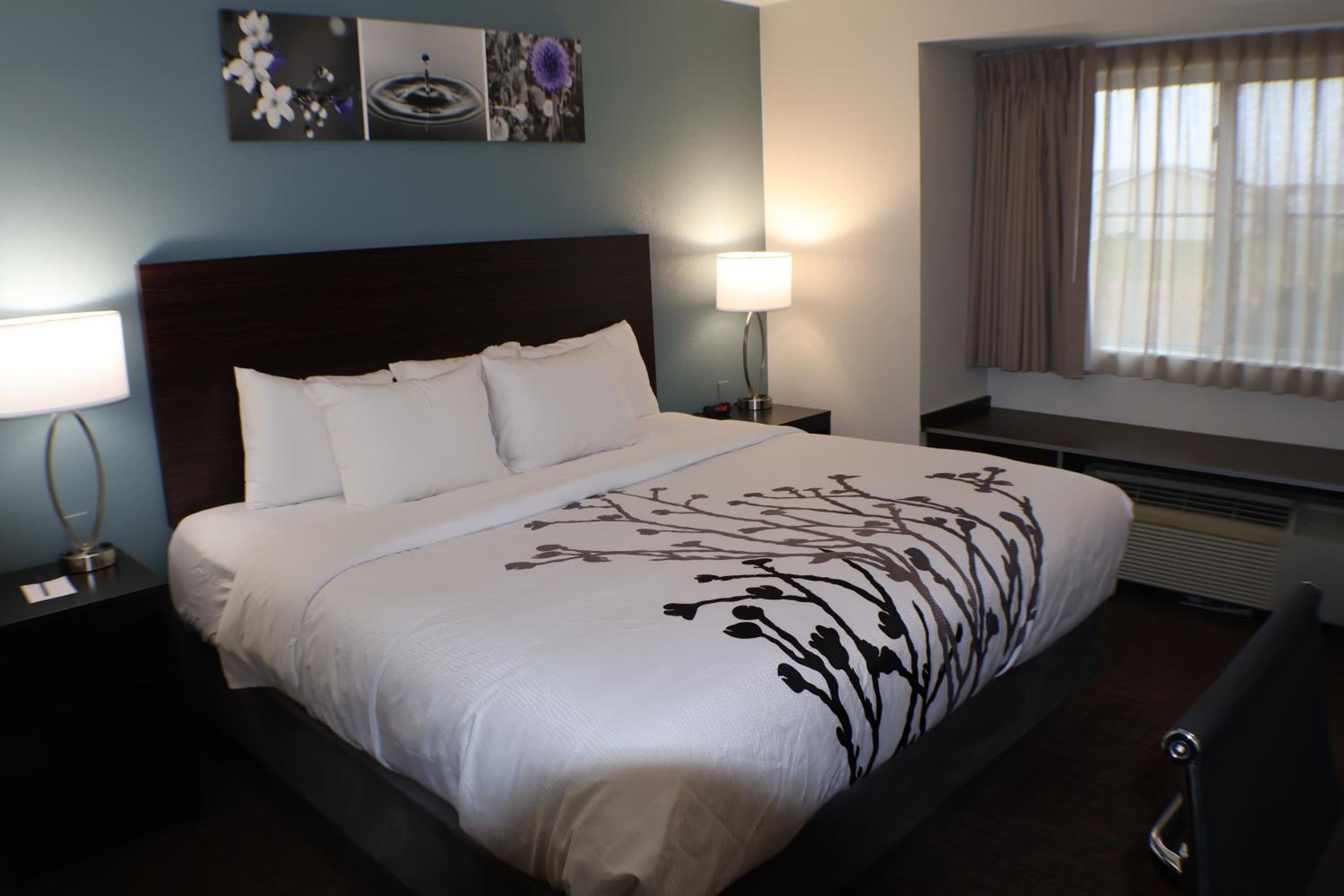 Queen Suite - Disability Access/Non Smoking