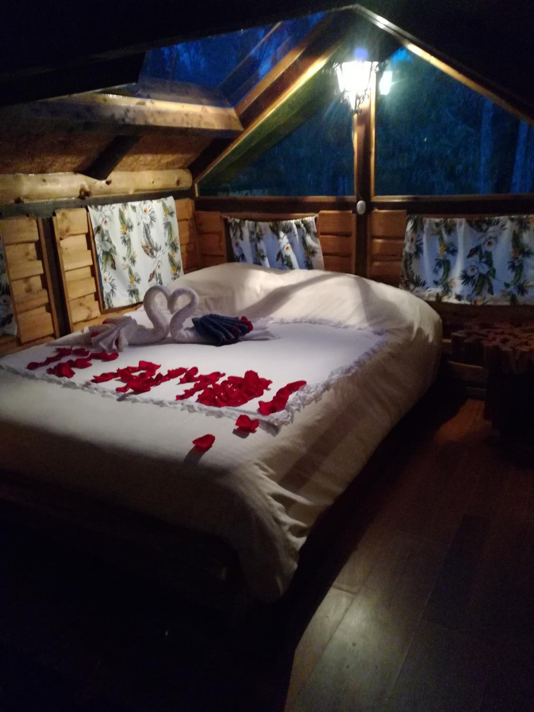 Double Room With Park View photo 2