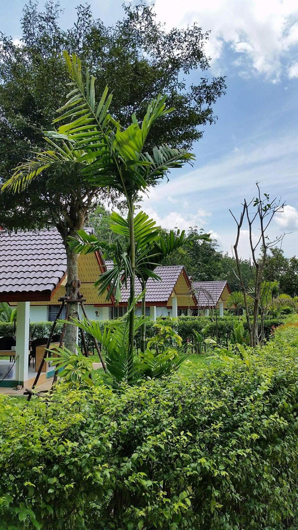 Bungalow with Patio photo 3