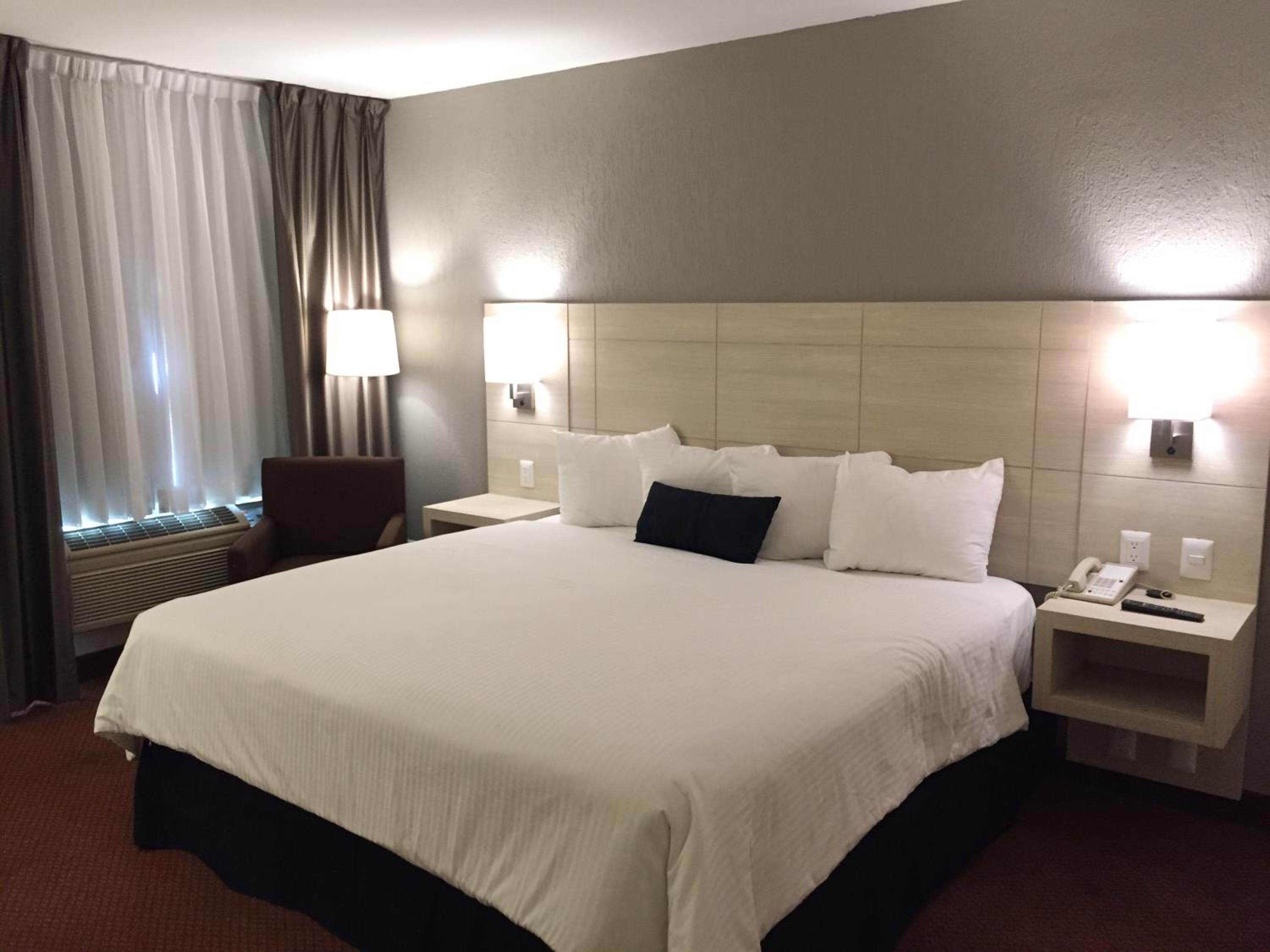 King Room photo 3