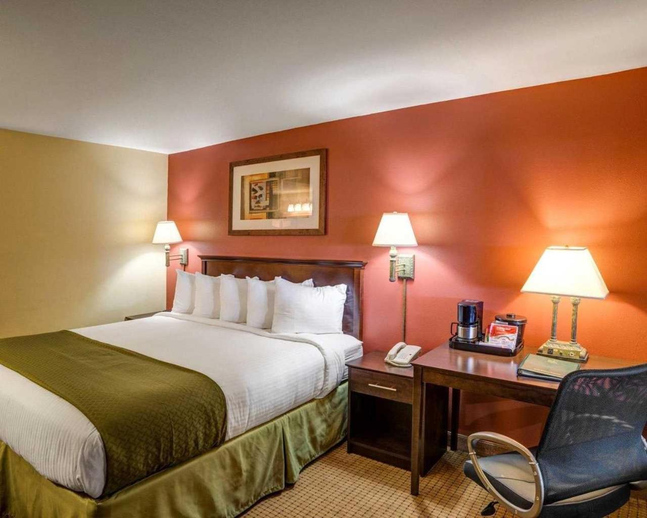 King Room photo 3