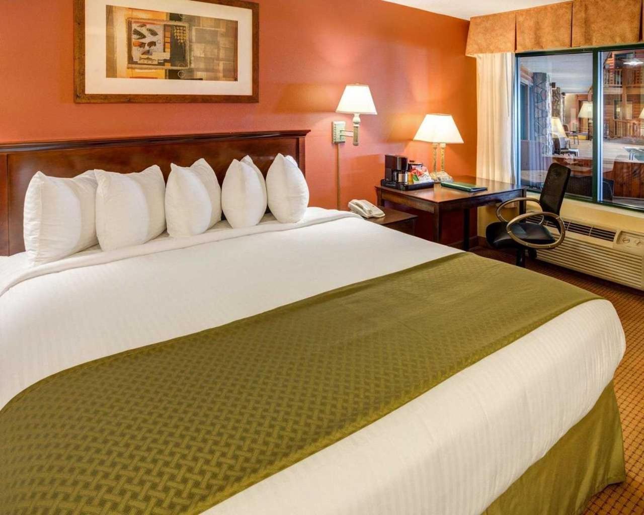 King Room photo 1