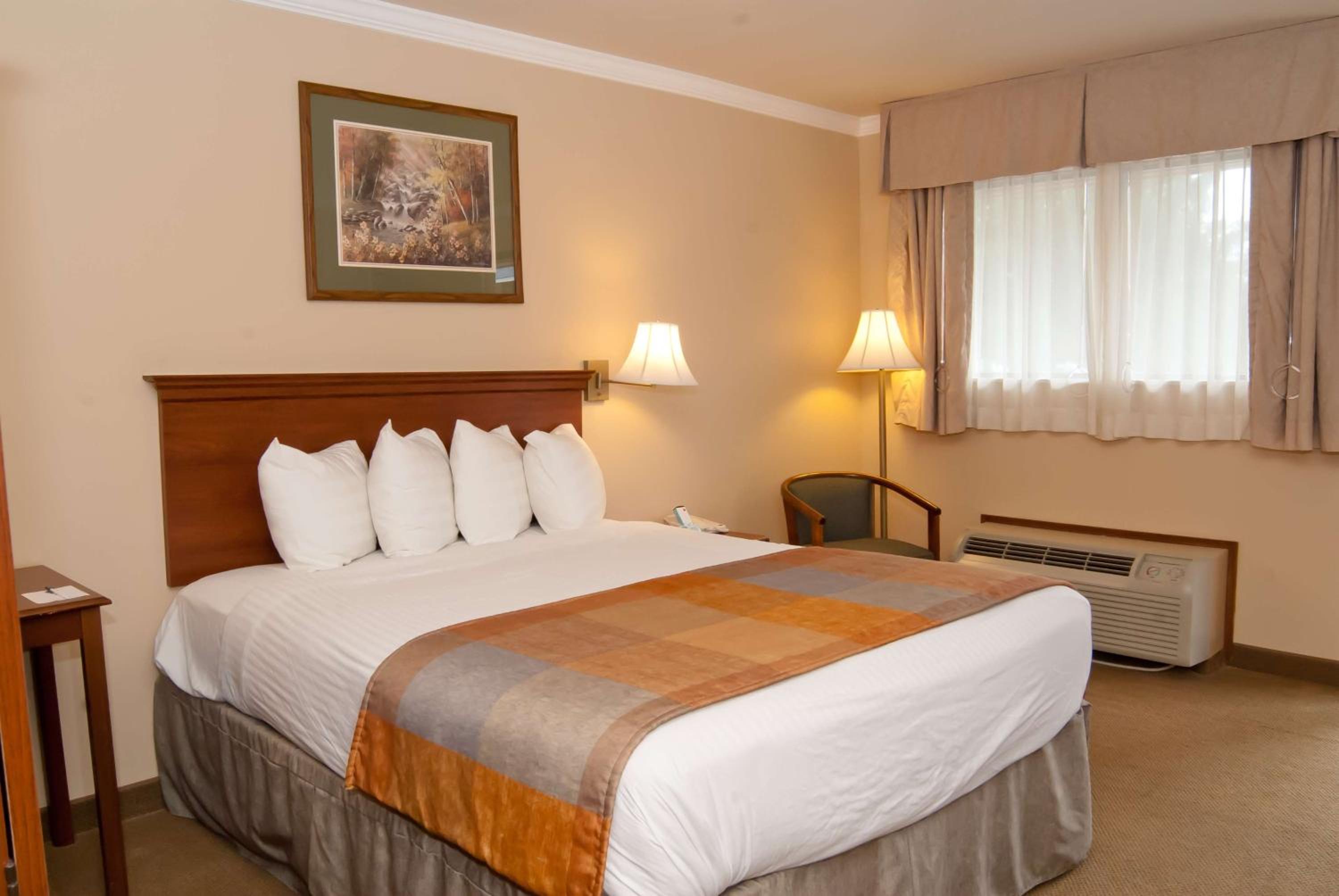 Queen Room - Disability Access - Non Smoking - Photo 7