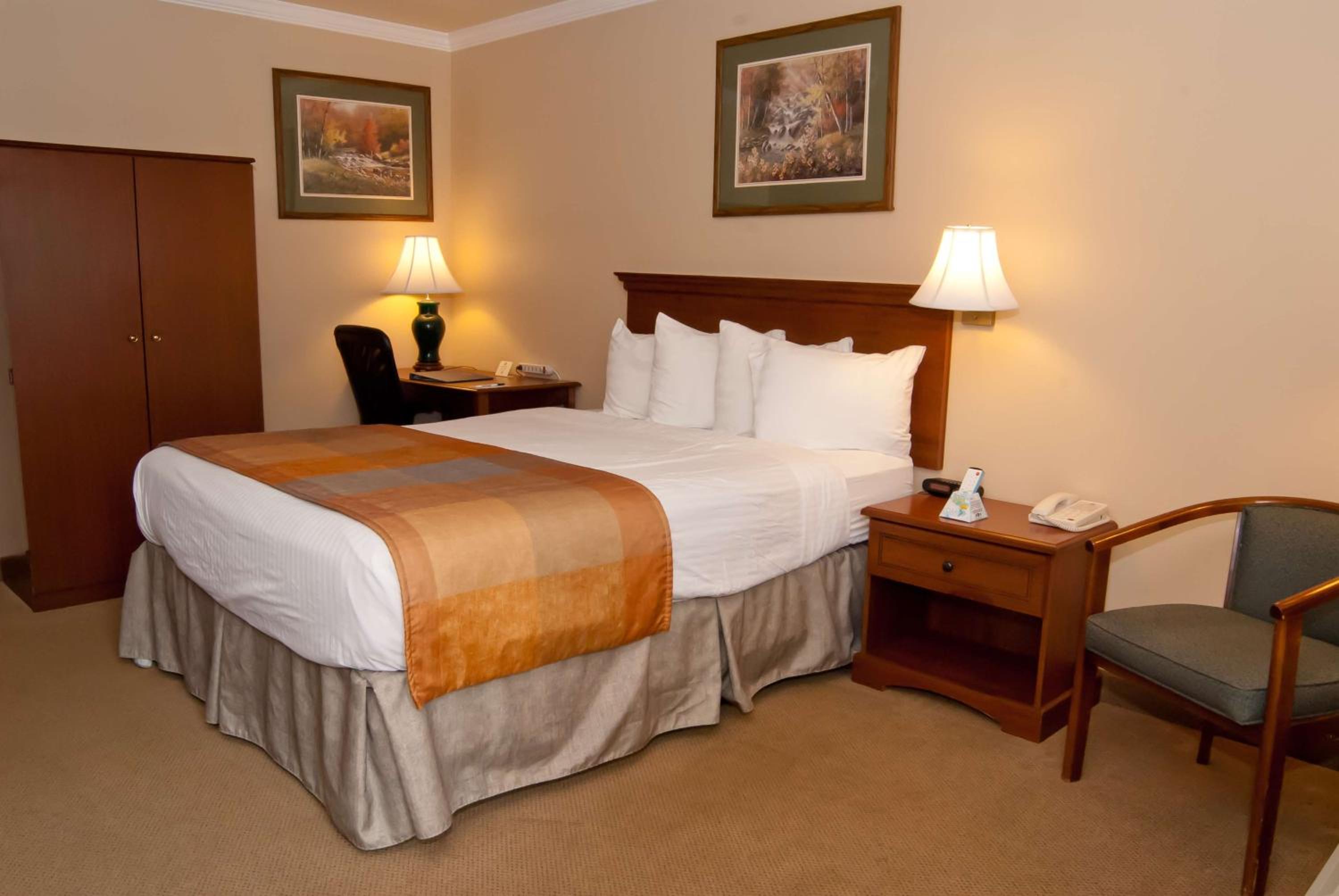 Queen Room - Disability Access - Non Smoking - Photo 6