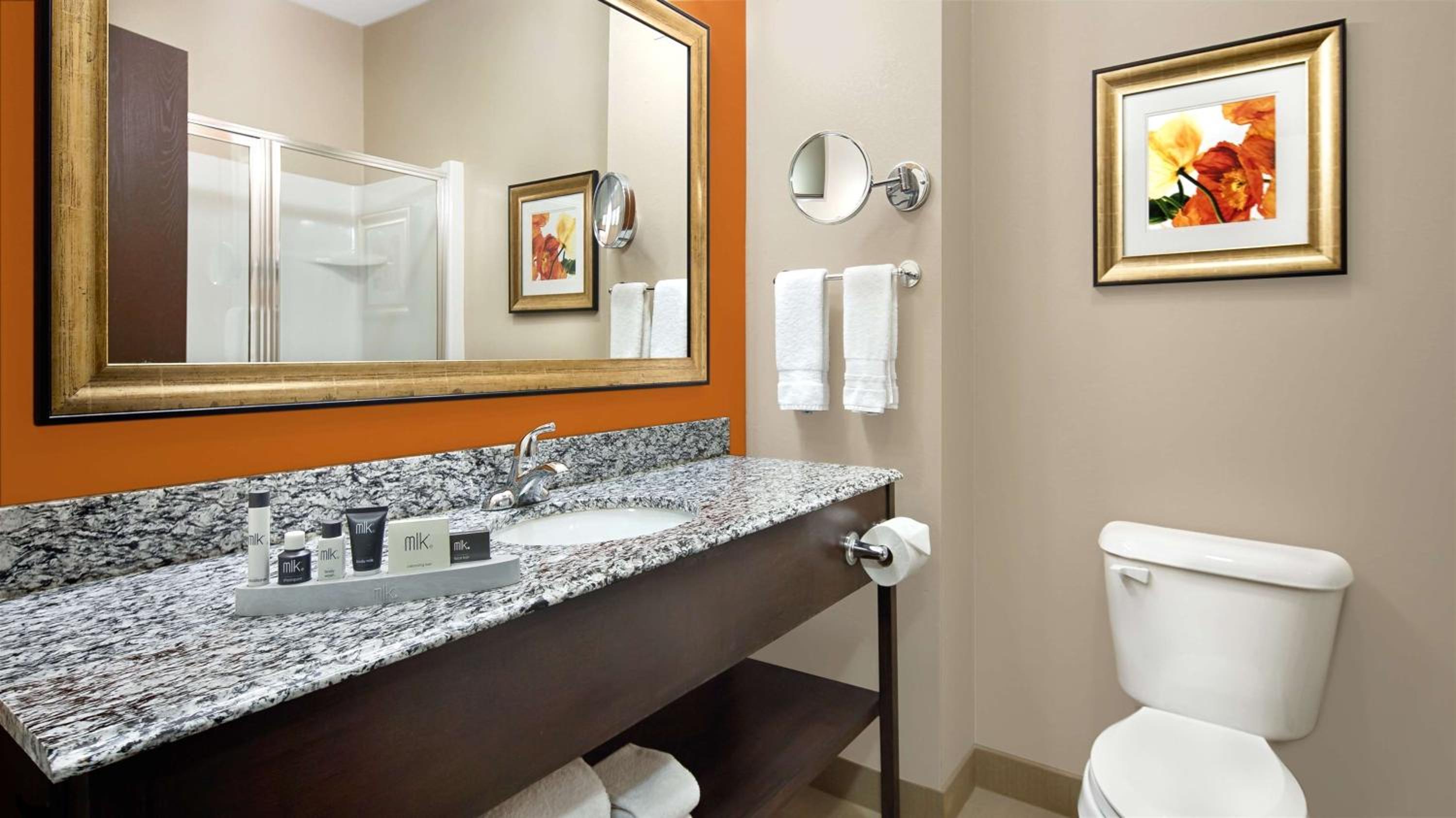 King Room - Disability Access Tub thumbnail 6