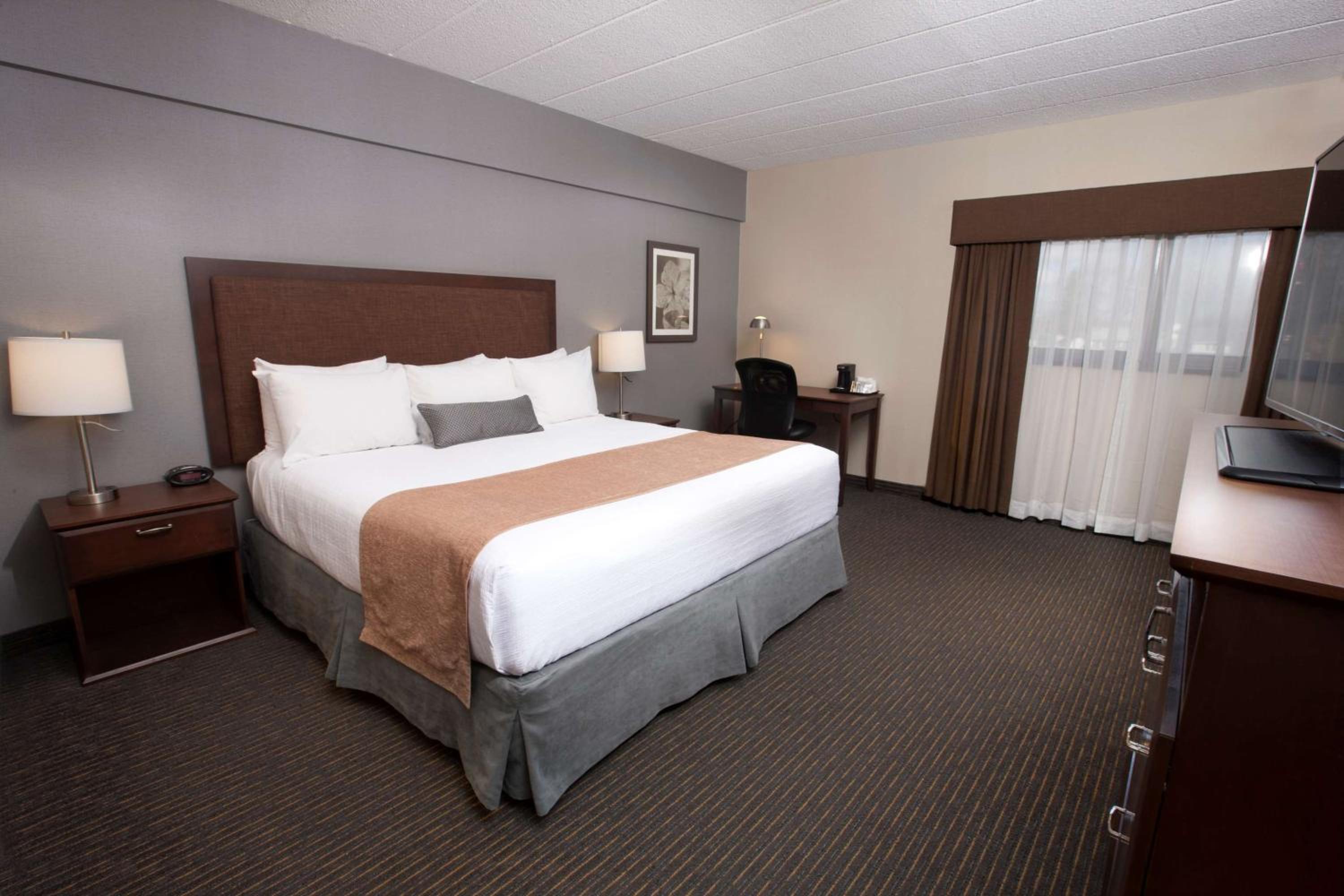 King Room - Non-Smoking - Photo 1