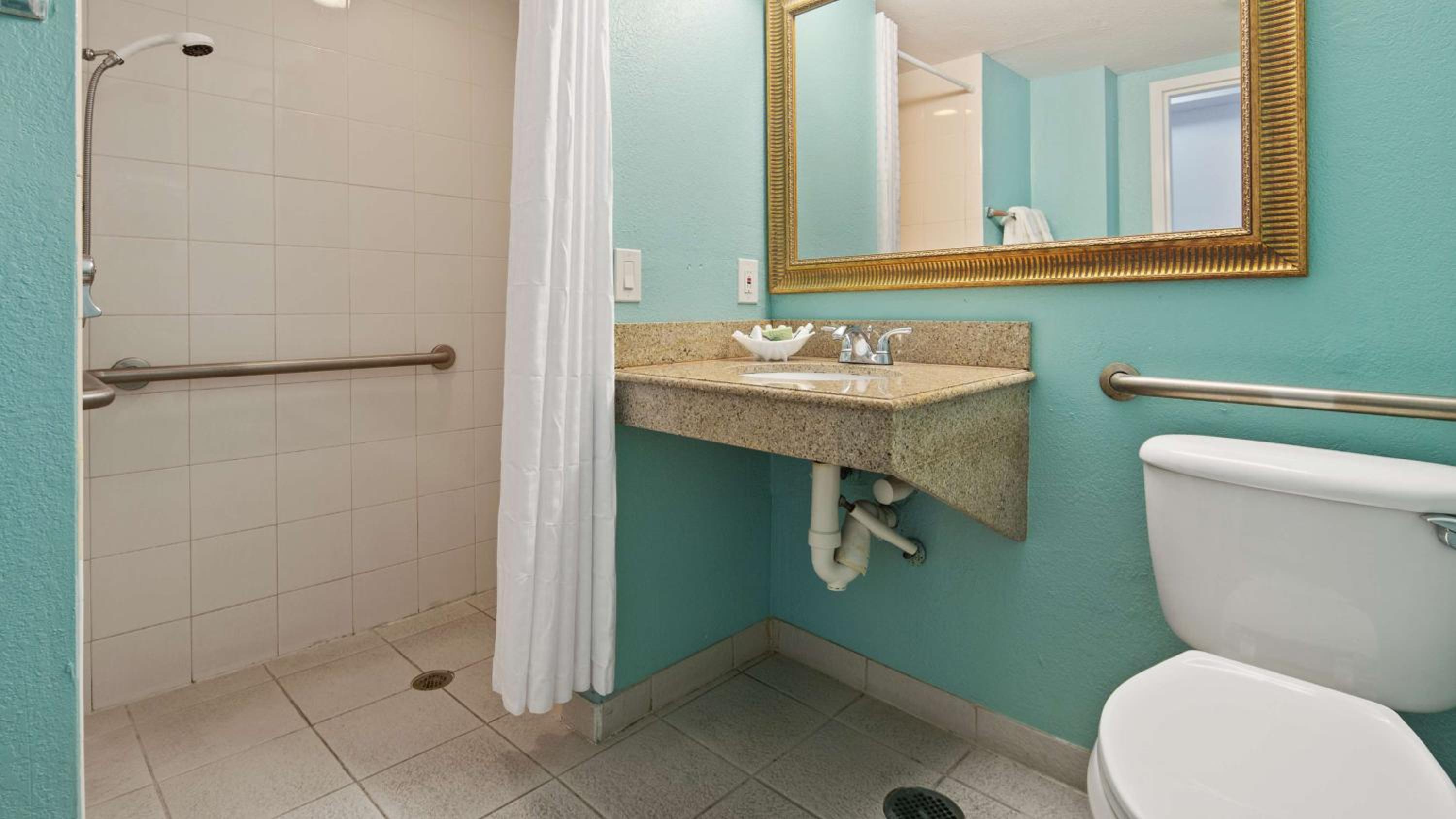 King Room with Roll-In Shower - Mobility Access