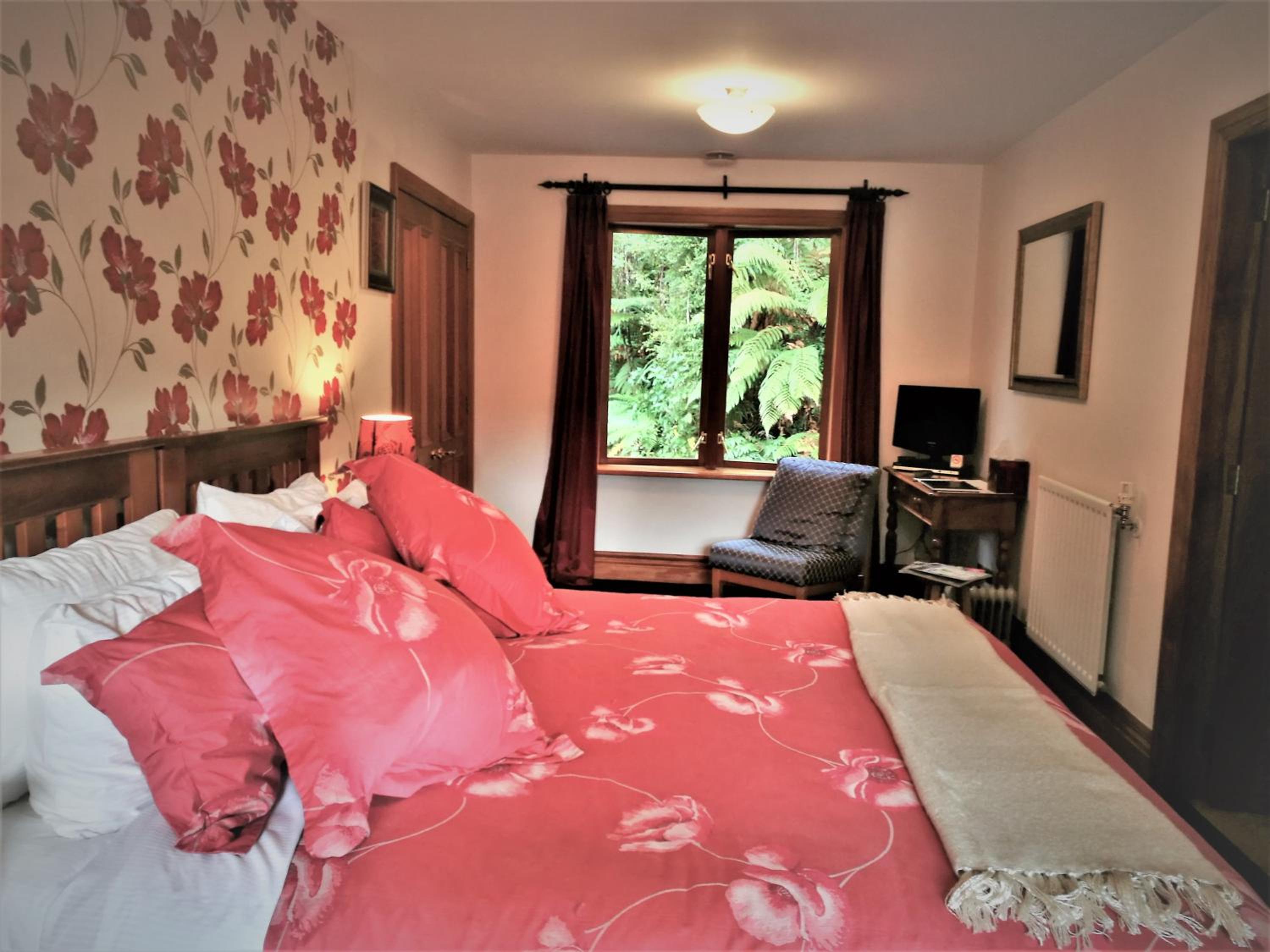 King Suite photo 1