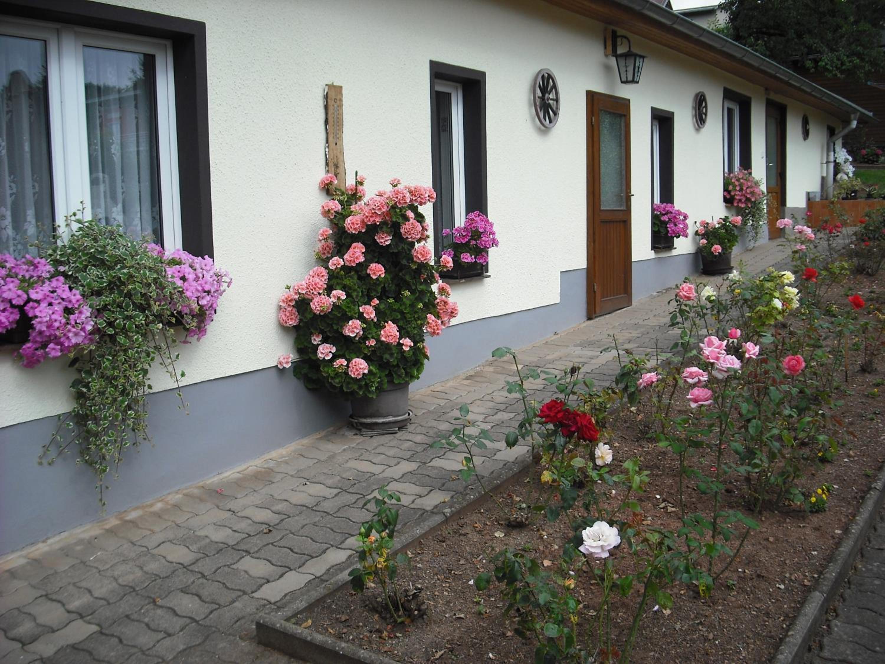 Apartment with Terrace photo 2